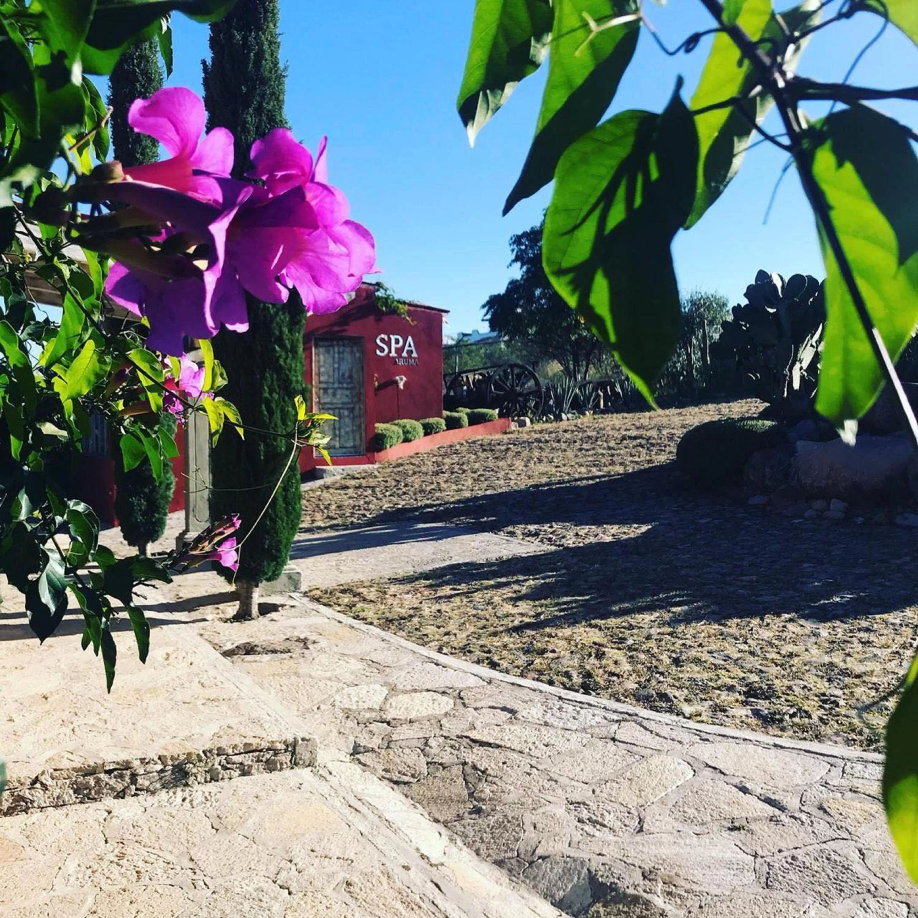 Facade/entrance in View Hotel Boutique