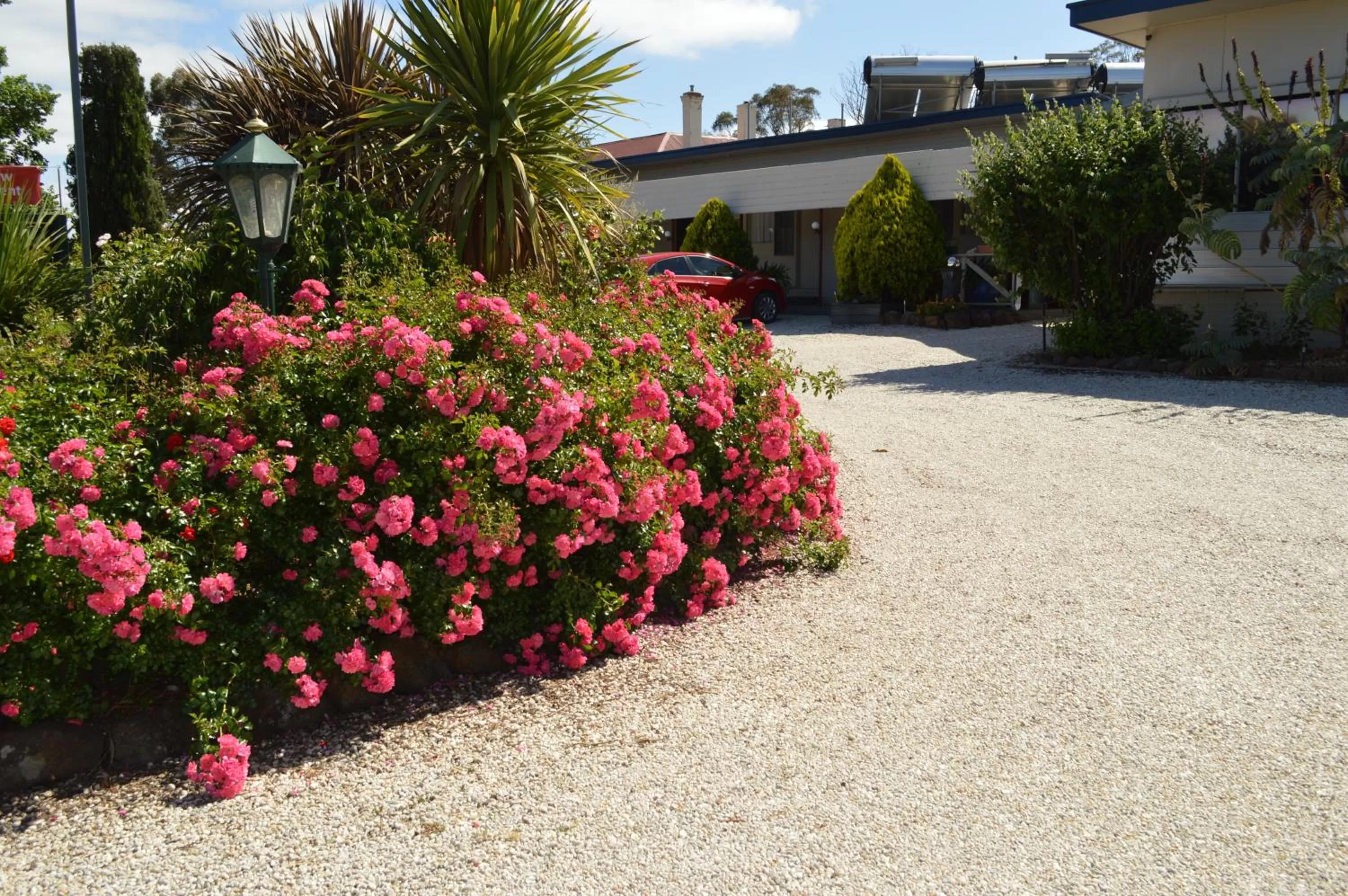 Spring in Wattle Grove Motel Maryborough