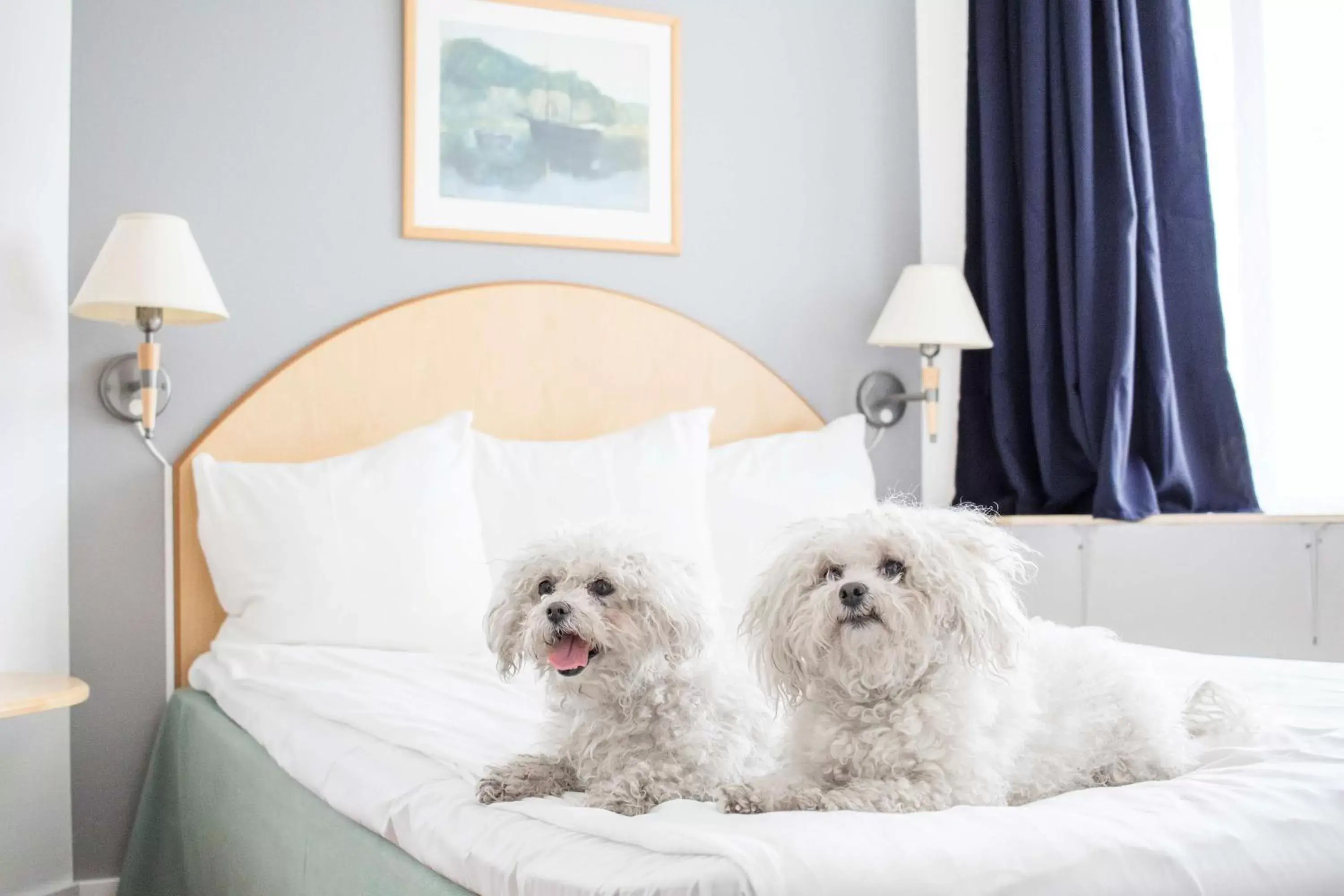 Standard Quadruple Room with Double Bed - Pet-Friendly/Non-Smoking in Best Western Eurostop Orebro Standard Quadruple Room with Double Bed - Pet-Friendly/Non-Smoking in Best Western Eurostop Orebro