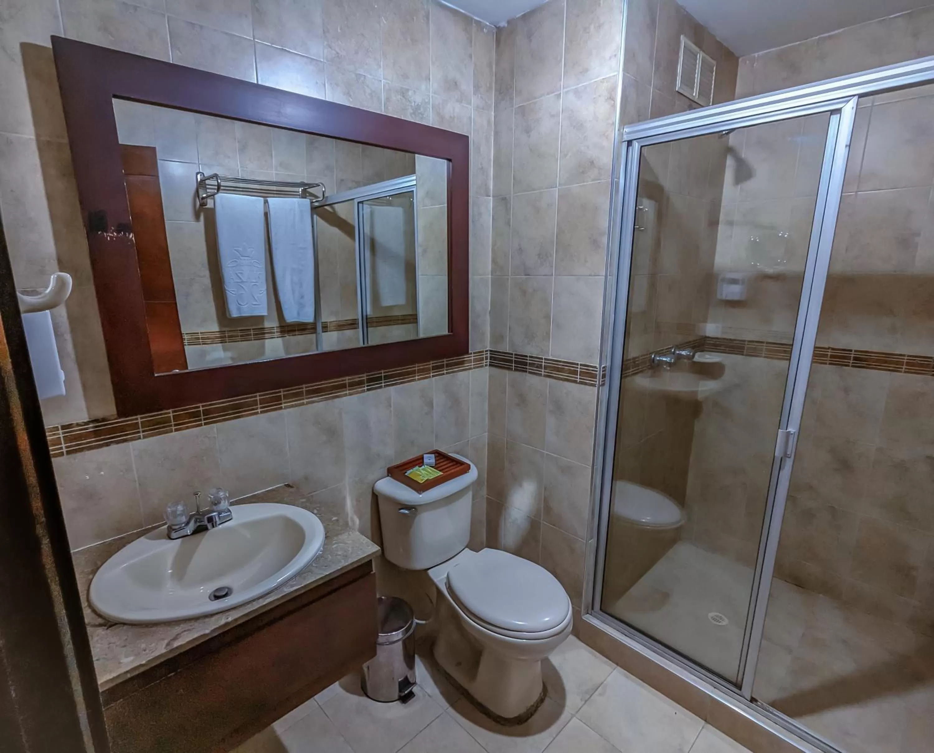 Shower in Hotel Charlotte Suite 26