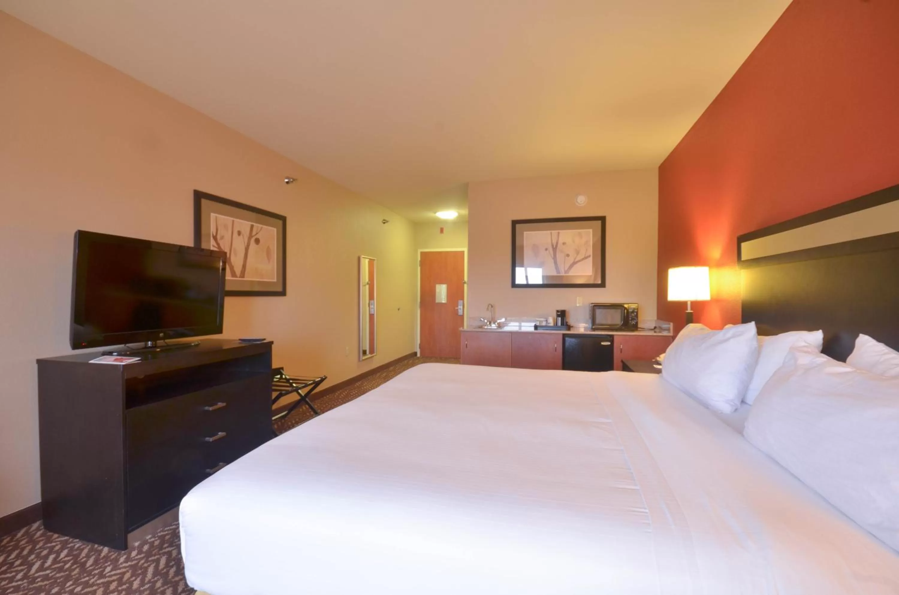 Photo of the whole room, Bed in Holiday Inn Express & Suites Pine Bluff/Pines Mall by IHG