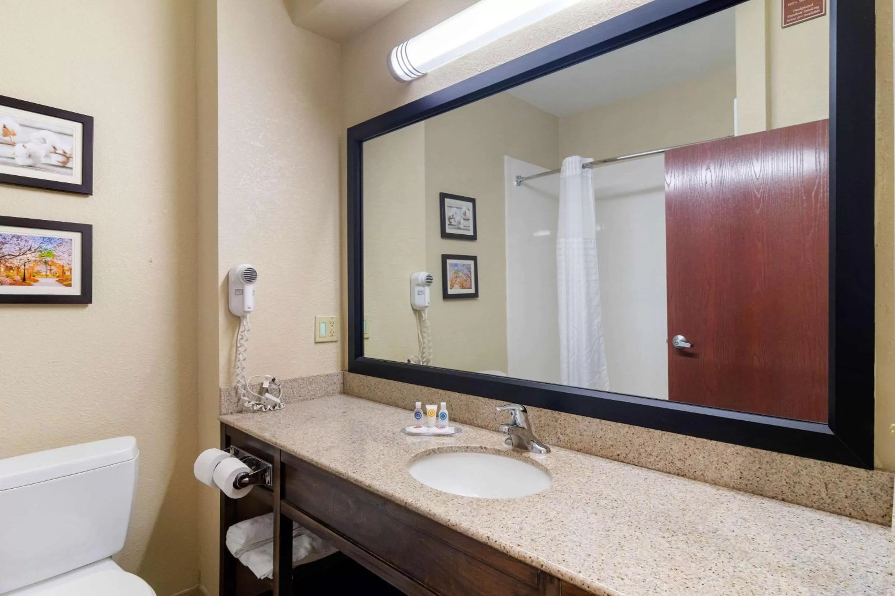 Bathroom in Comfort Inn & Suites Griffin North