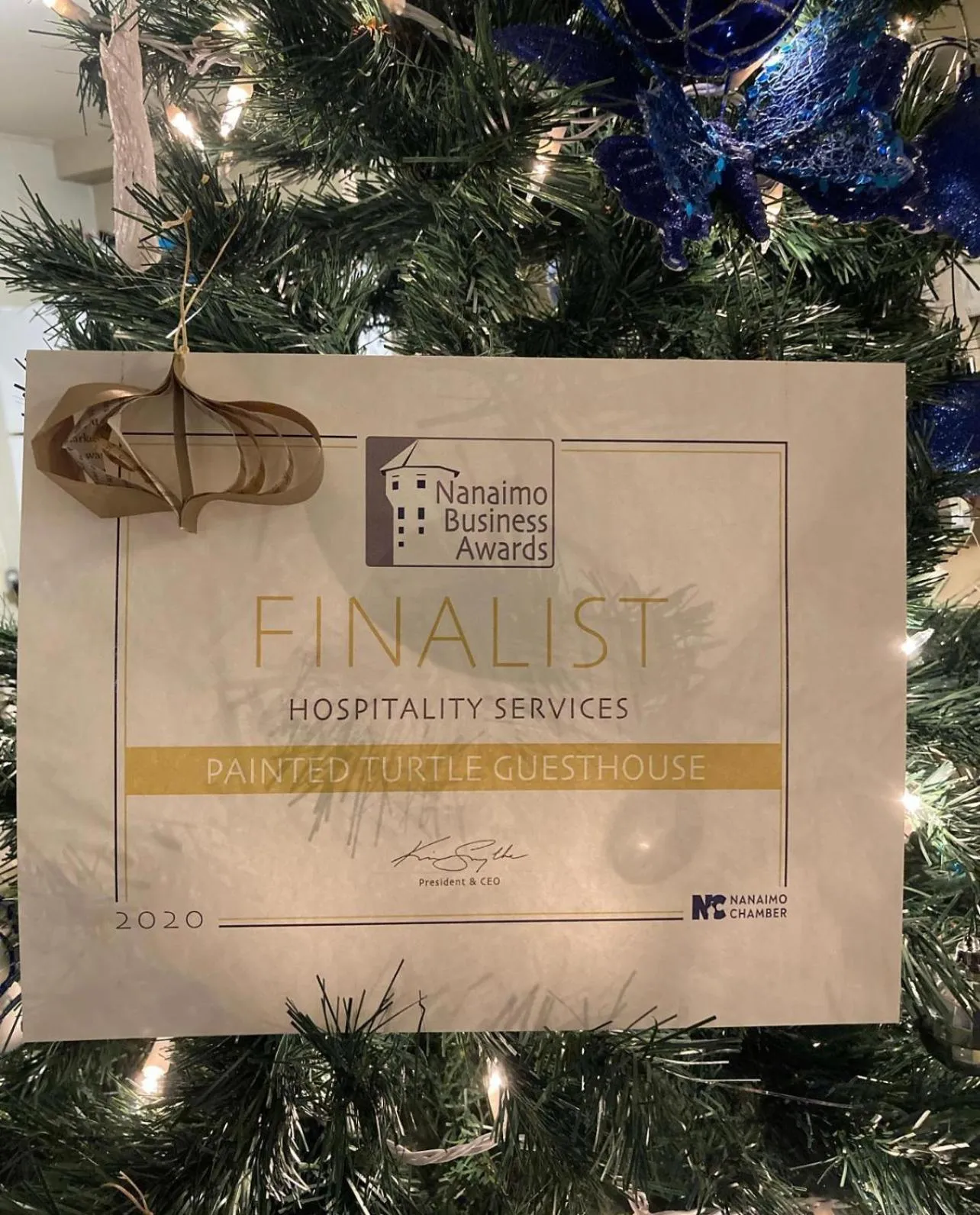 Certificate/Award in Painted Turtle Guesthouse