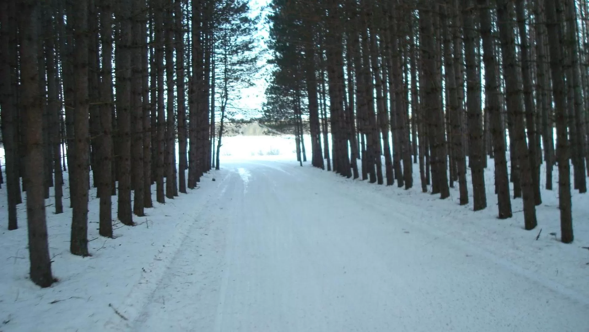 View (from property/room) in Mountain View Motel