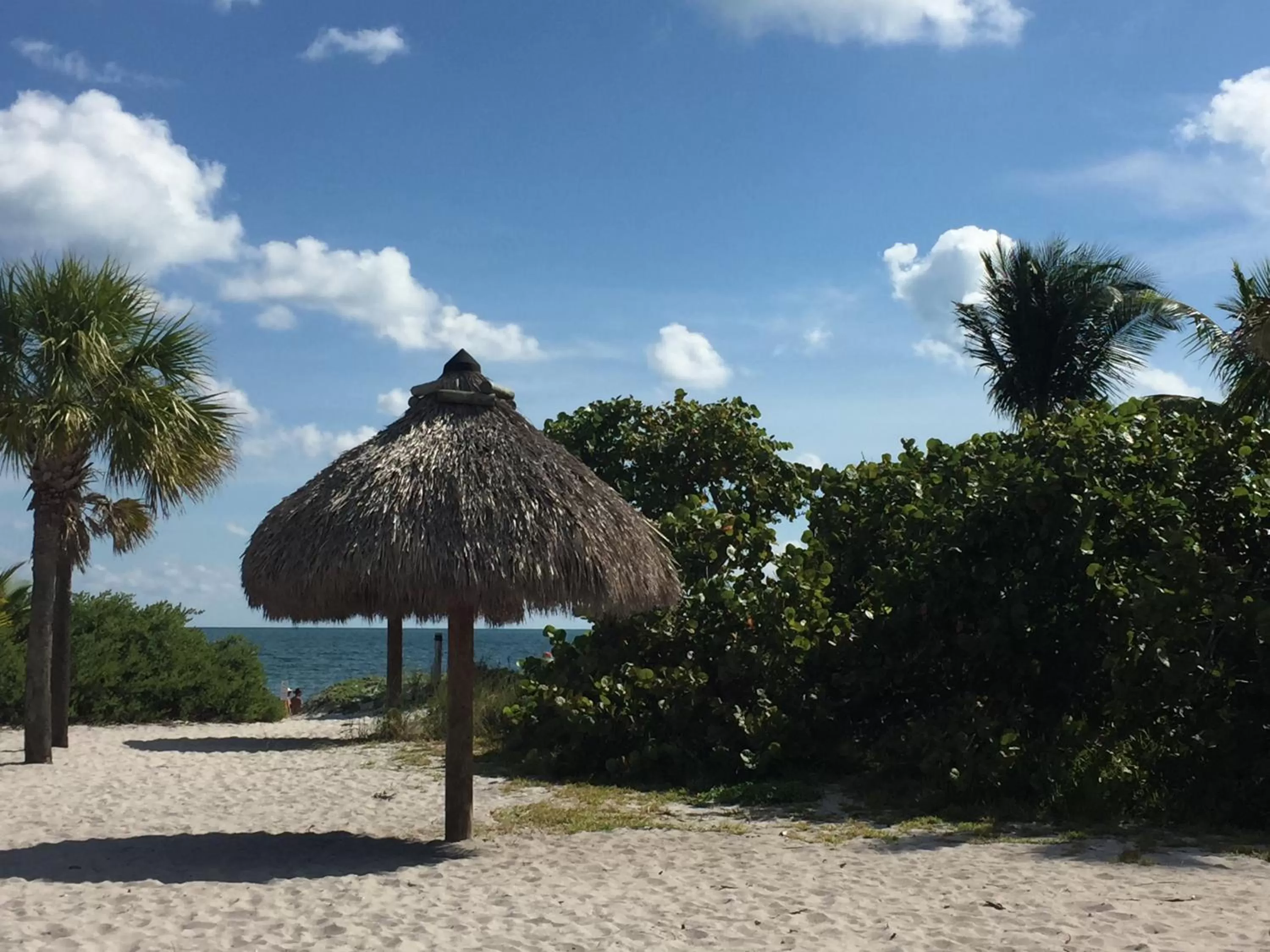 Nearby landmark in Beach Haus Key Biscayne Contemporary Apartments