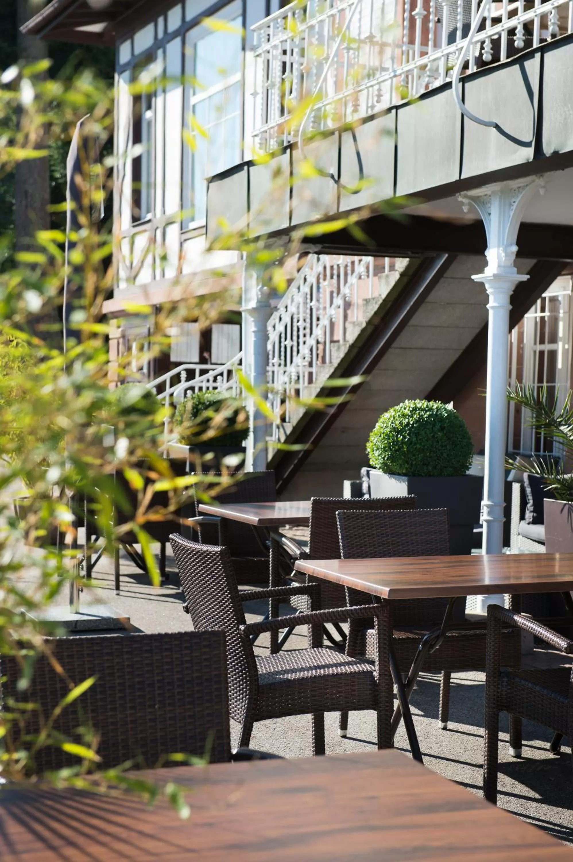 Balcony/Terrace in Das Palmenwald Schwarzwaldhof, BW Signature Collection