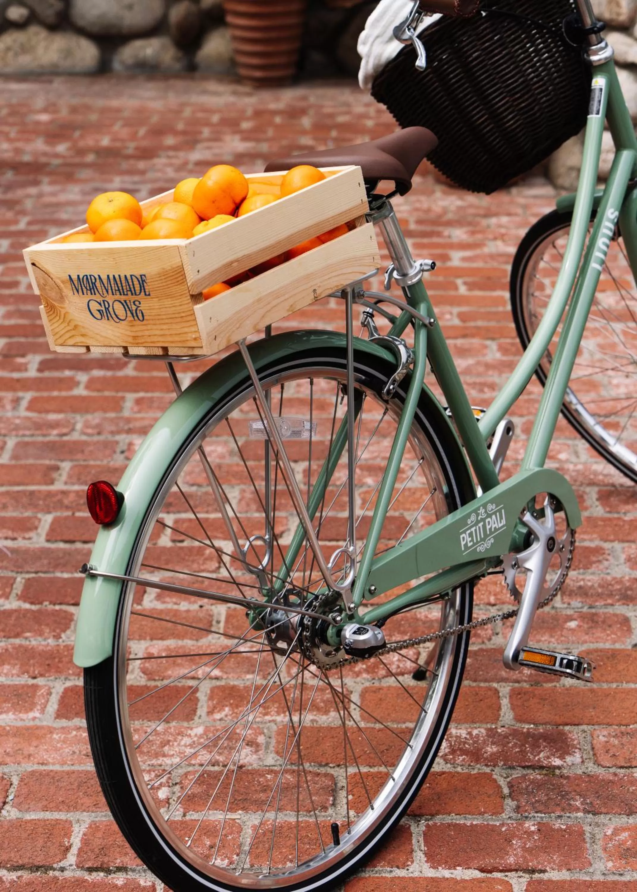 Activities in Le Petit Pali at 8th Ave