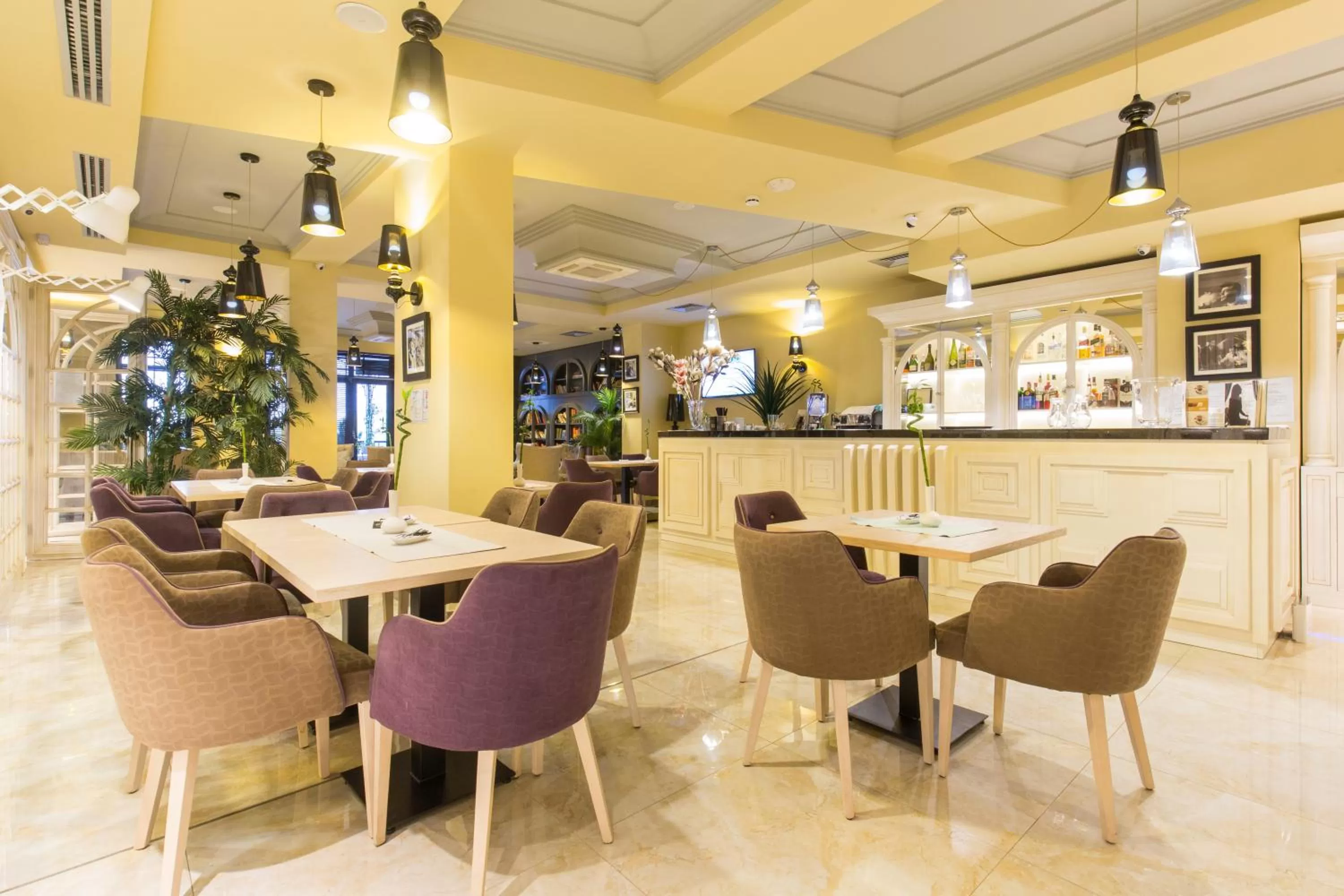 Lounge or bar in Xenon Hotel & SPA