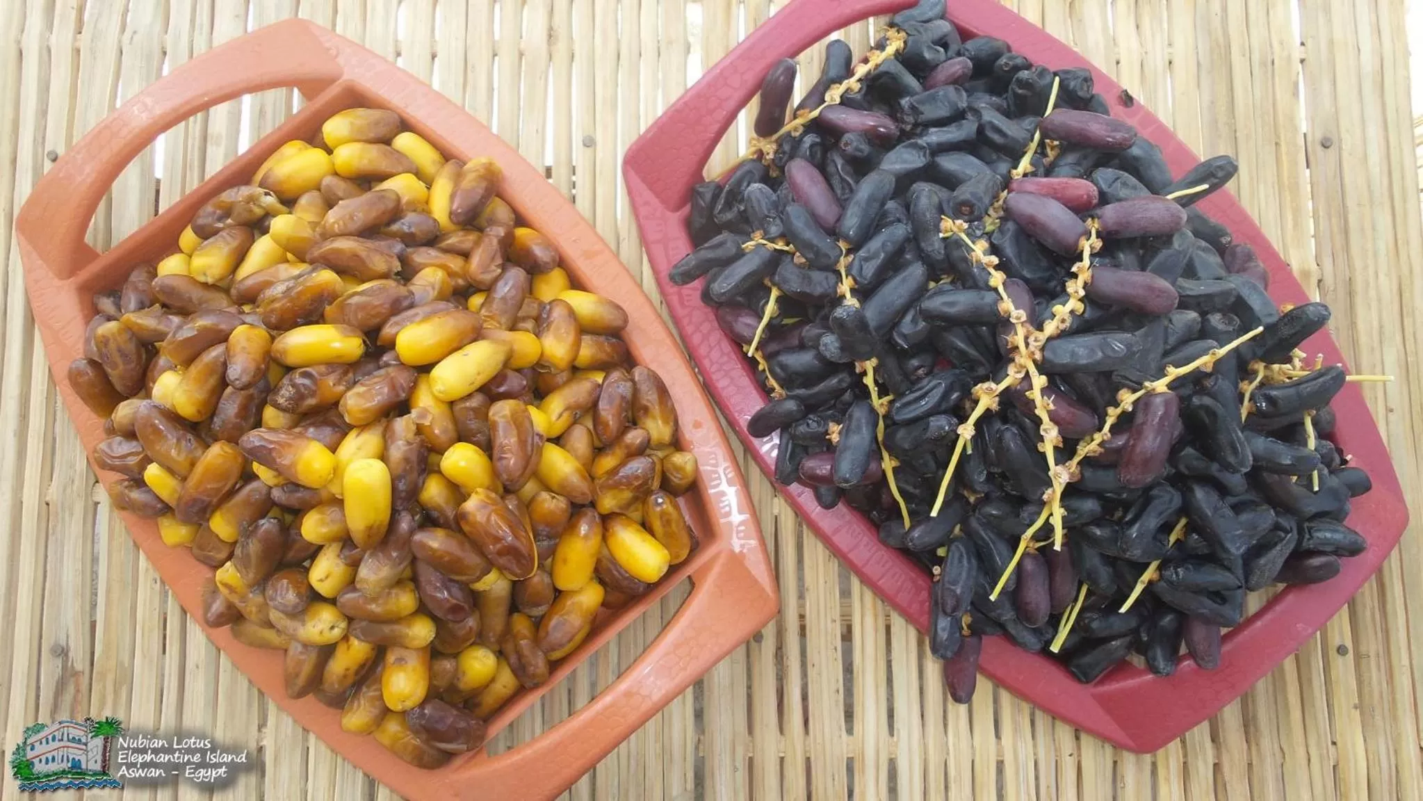 Restaurant/places to eat in Nubian Lotus