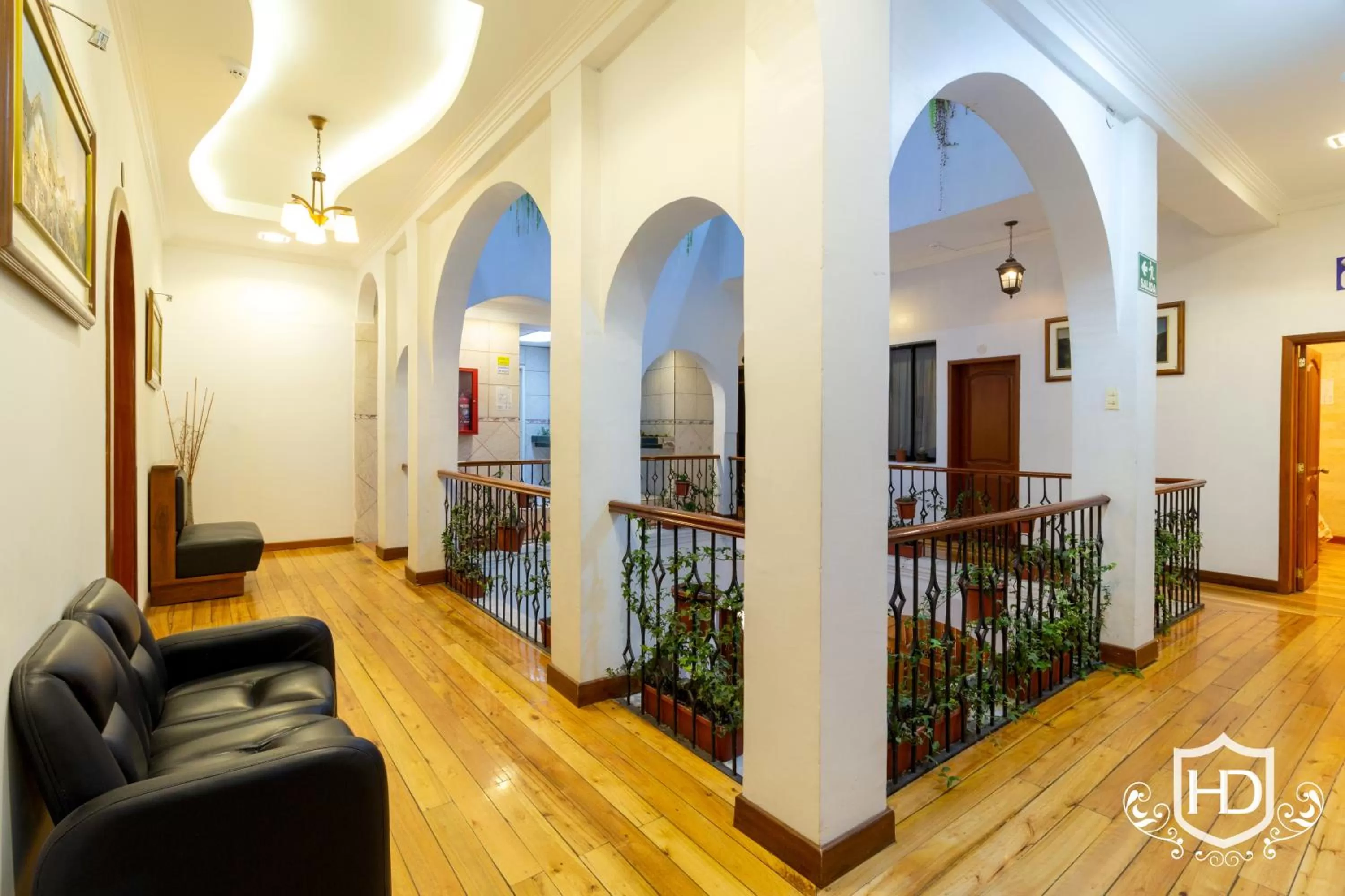 Area and facilities in Hotel David