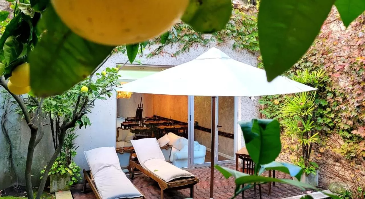 Garden in 248 Finisterra