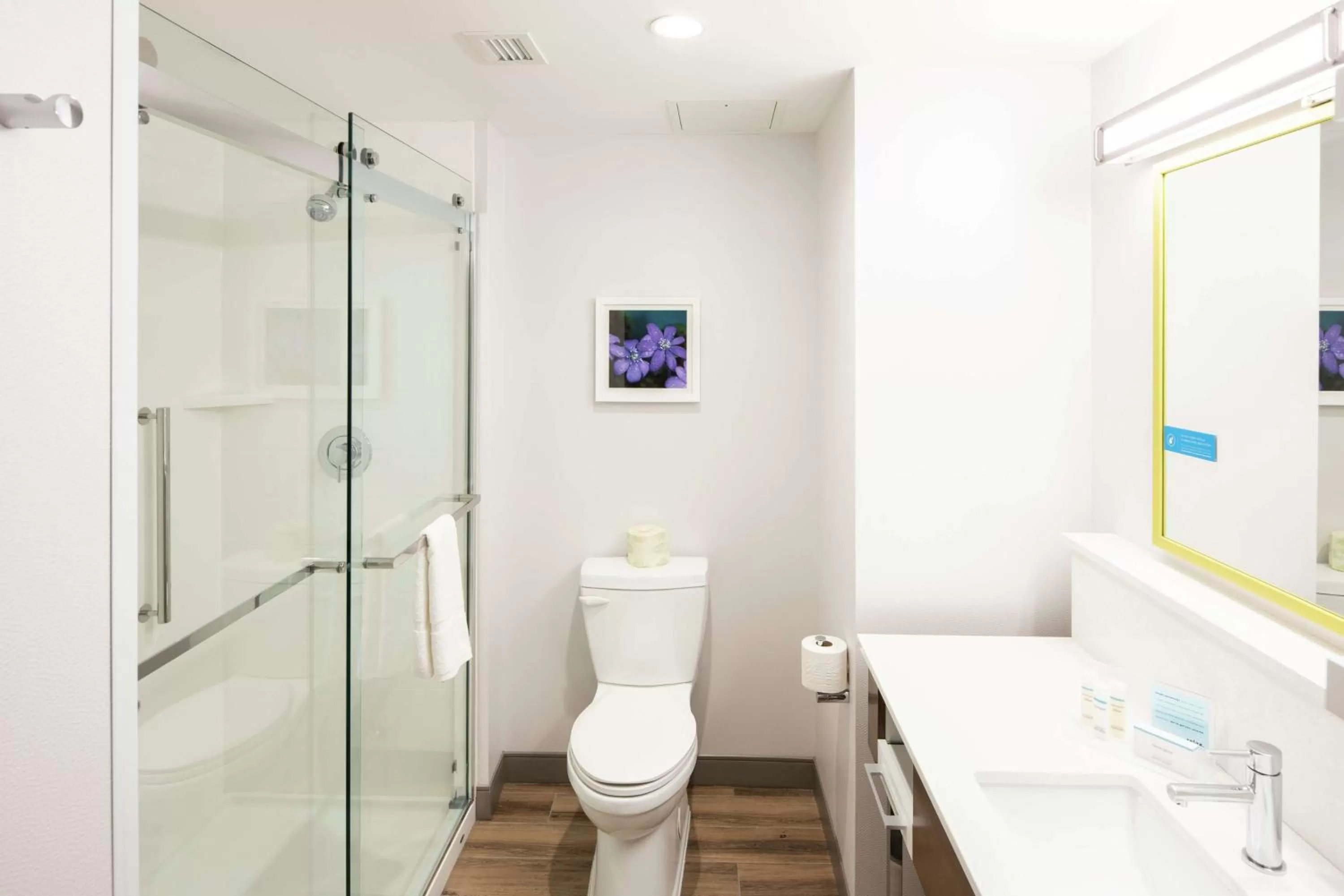 Bathroom in Hampton Inn & Suites Rocky Hill - Hartford South