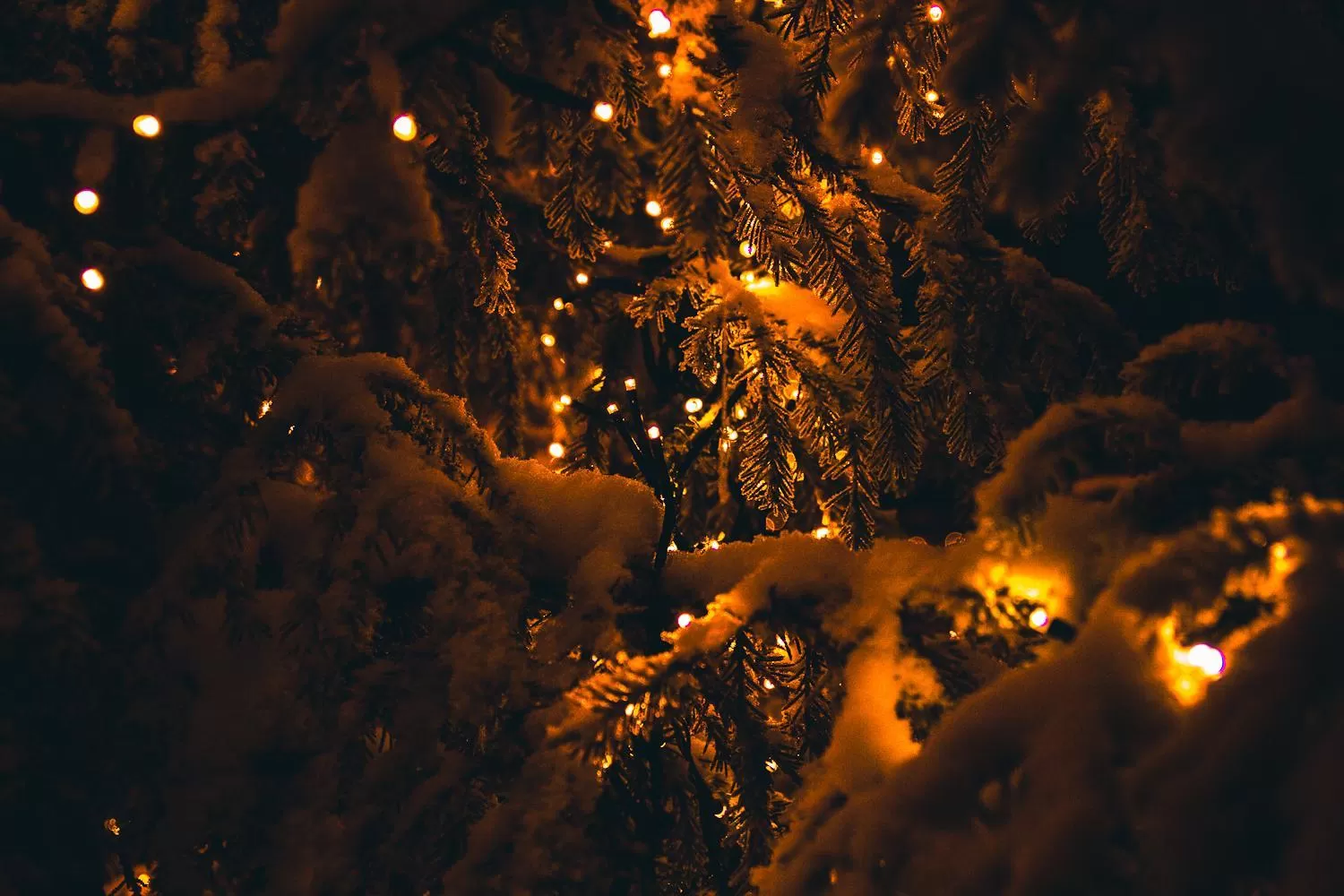 Other in Motelli Rovaniemi