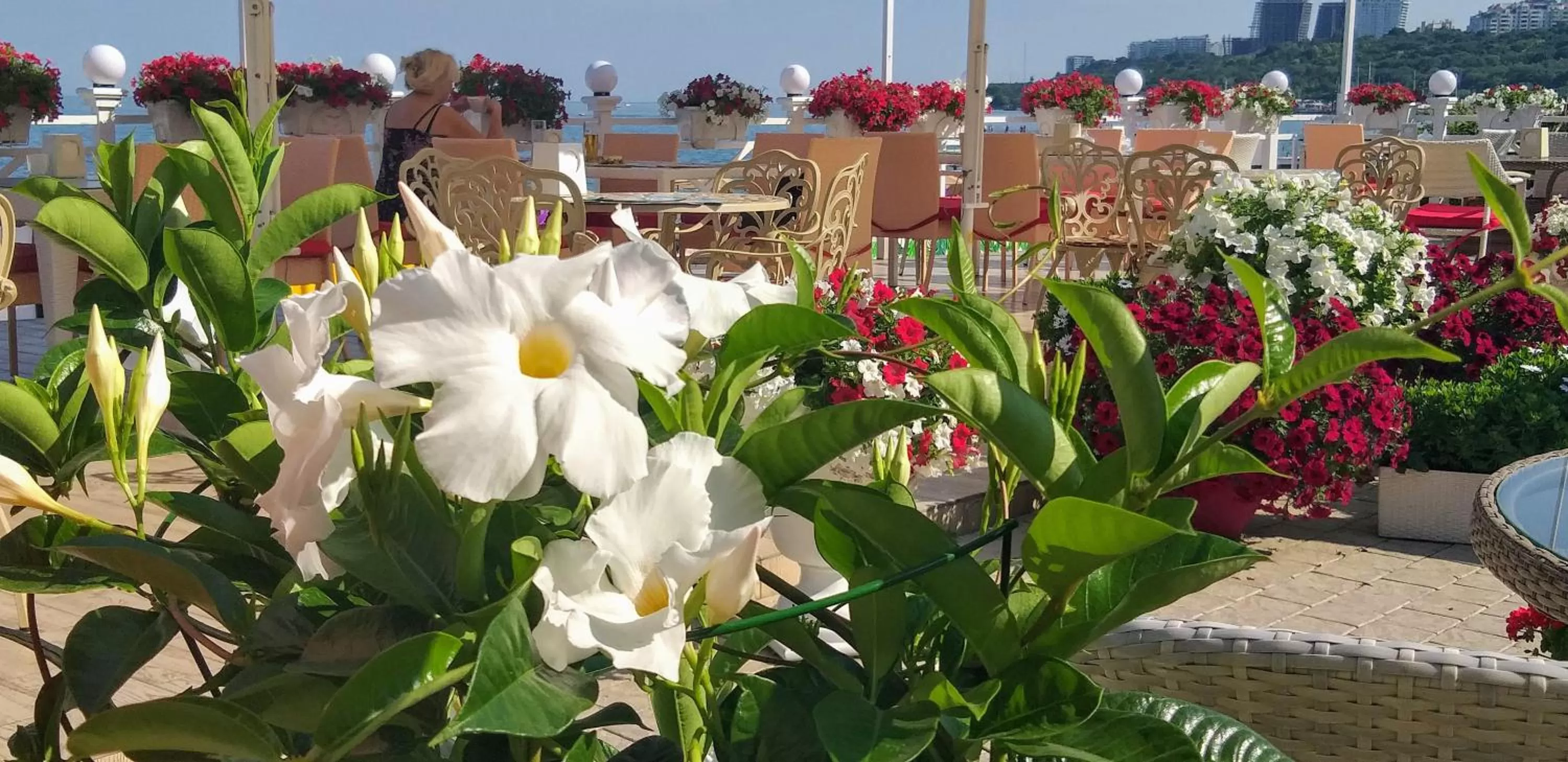 Restaurant/places to eat in Shalanda