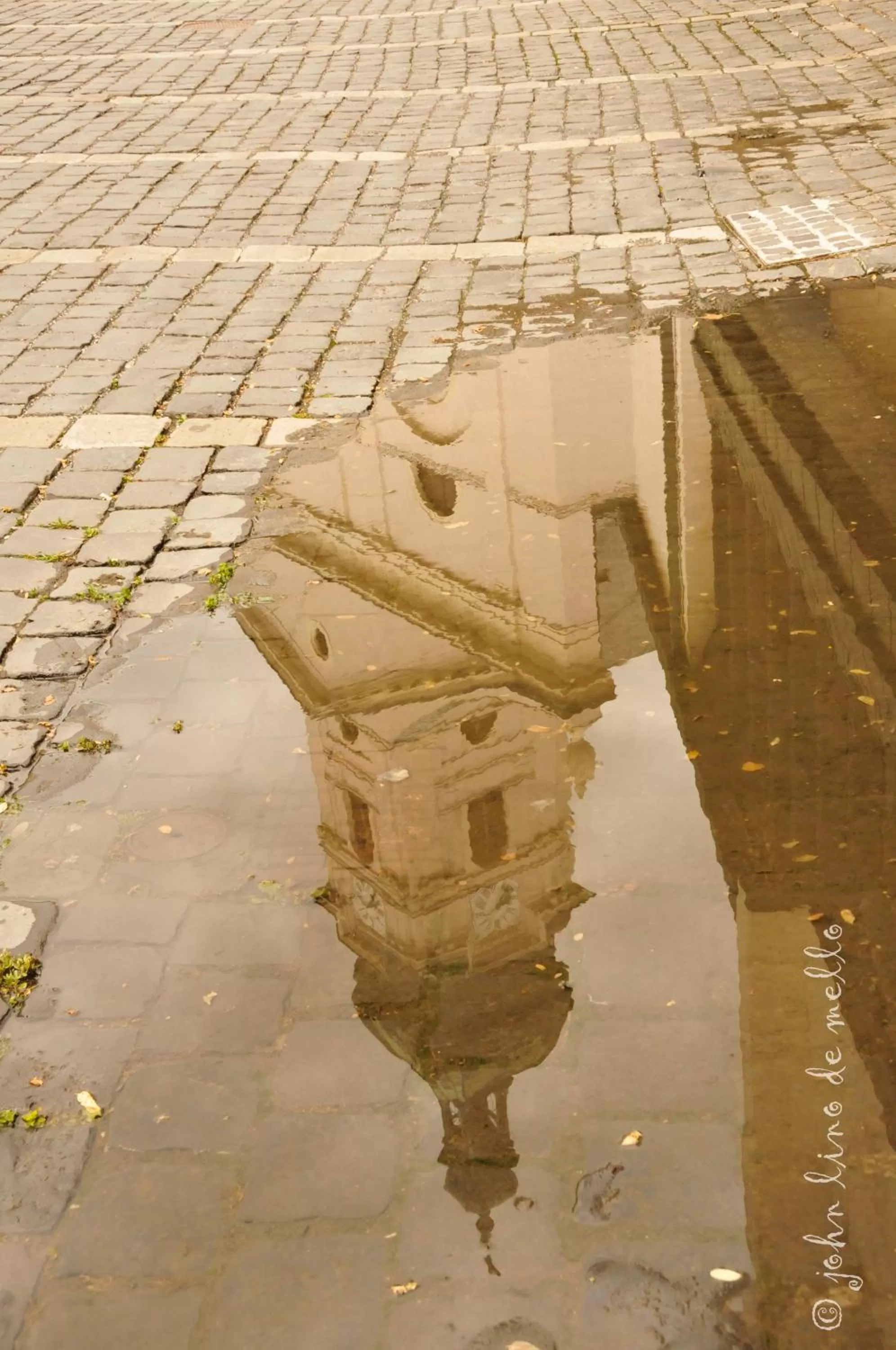 Area and facilities in Buda Panzió