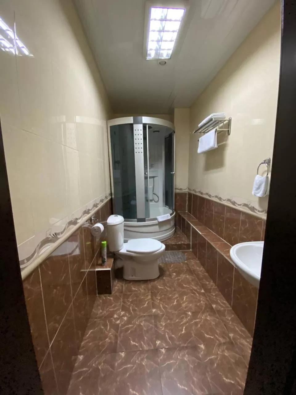 Bathroom in Deluxe SPA-Hotel