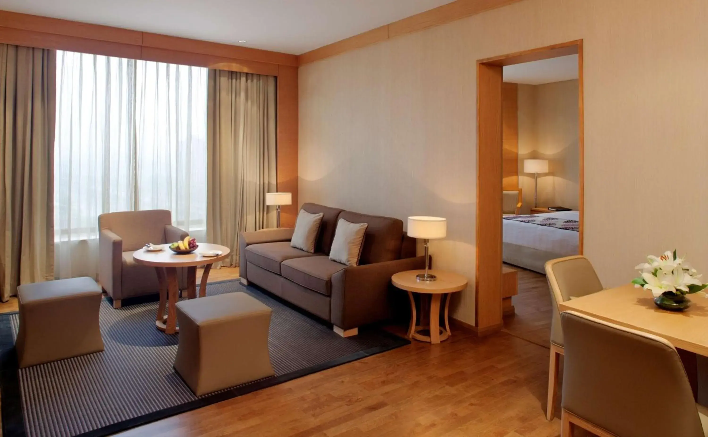 Executive Suite with Sofa Cum Bed and 20% discount on Food & Soft Beverage in Radisson Blu Hotel New Delhi Dwarka Executive Suite with Sofa Cum Bed and 20% discount on Food & Soft Beverage in Radisson Blu Hotel New Delhi Dwarka