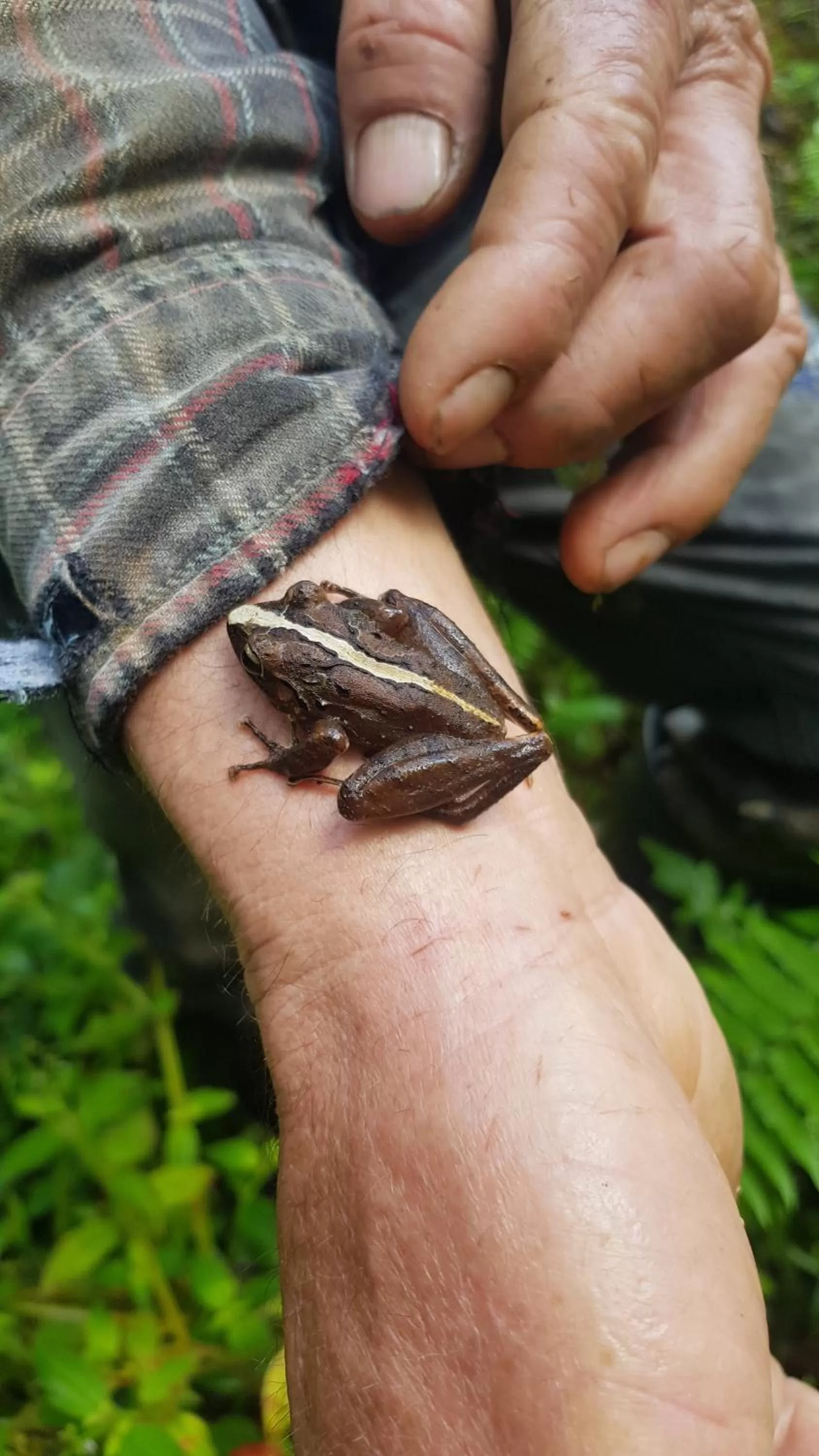 Animals, Other Animals in Hotel Rivel - Adventure & Nature Retreat