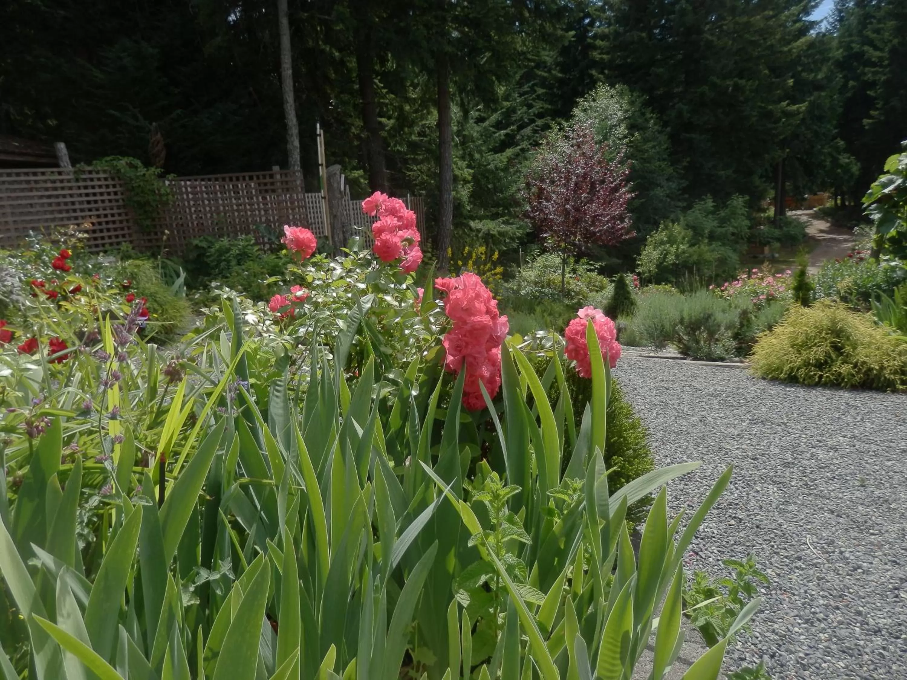 Day in Armand Heights