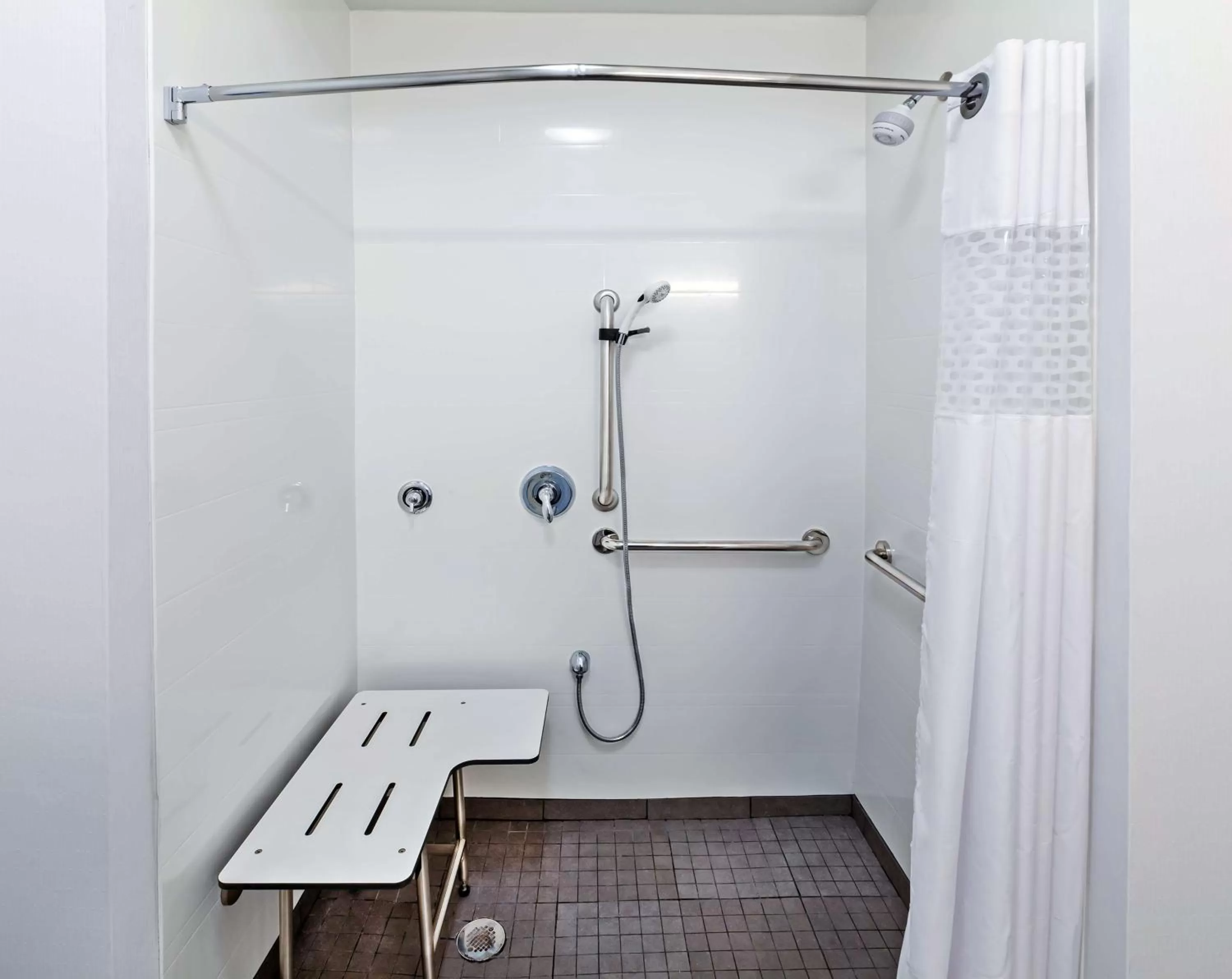 Bathroom in Hampton Inn Ozona