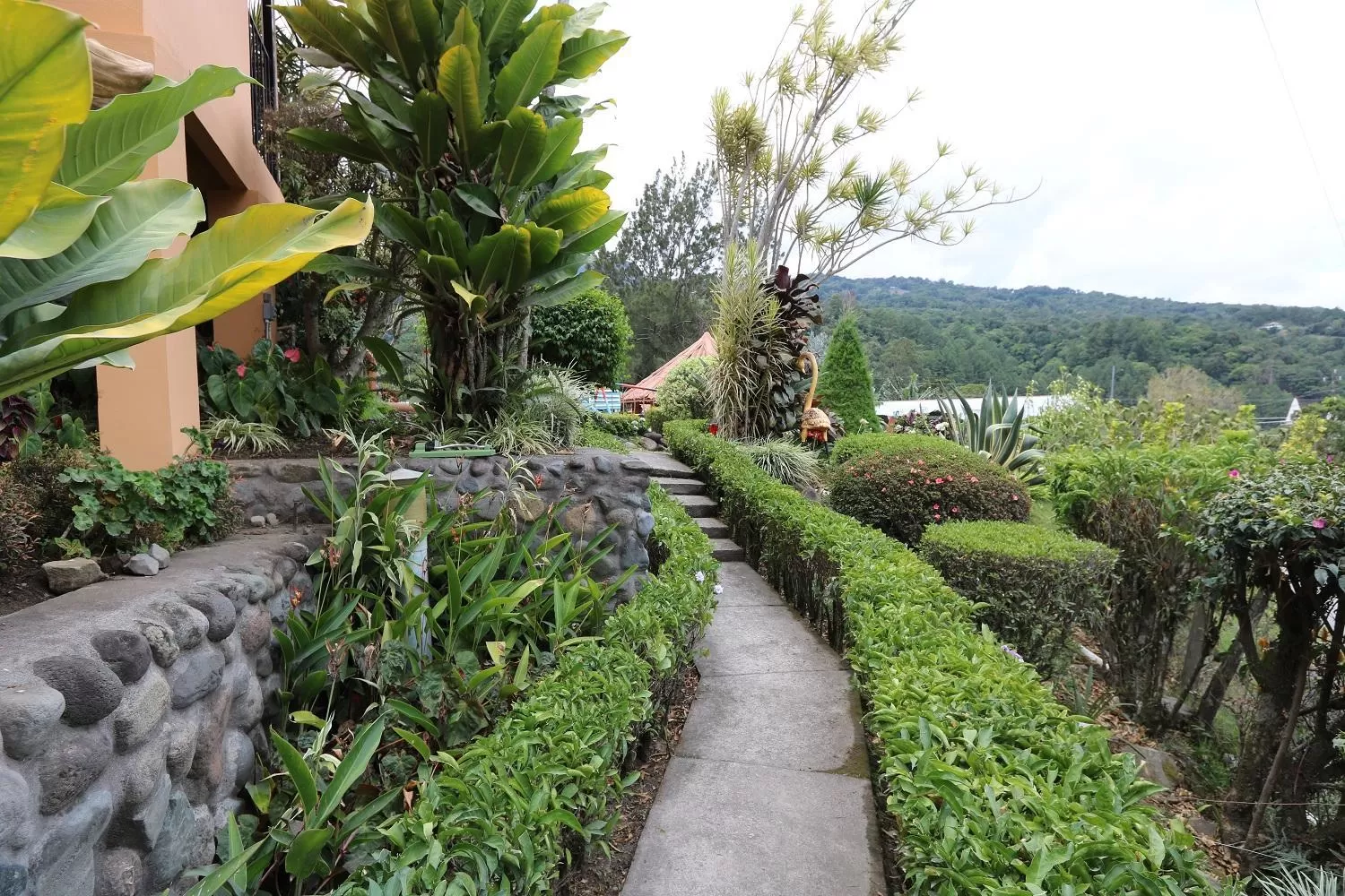 Natural landscape in Aparthotel Los Pinos