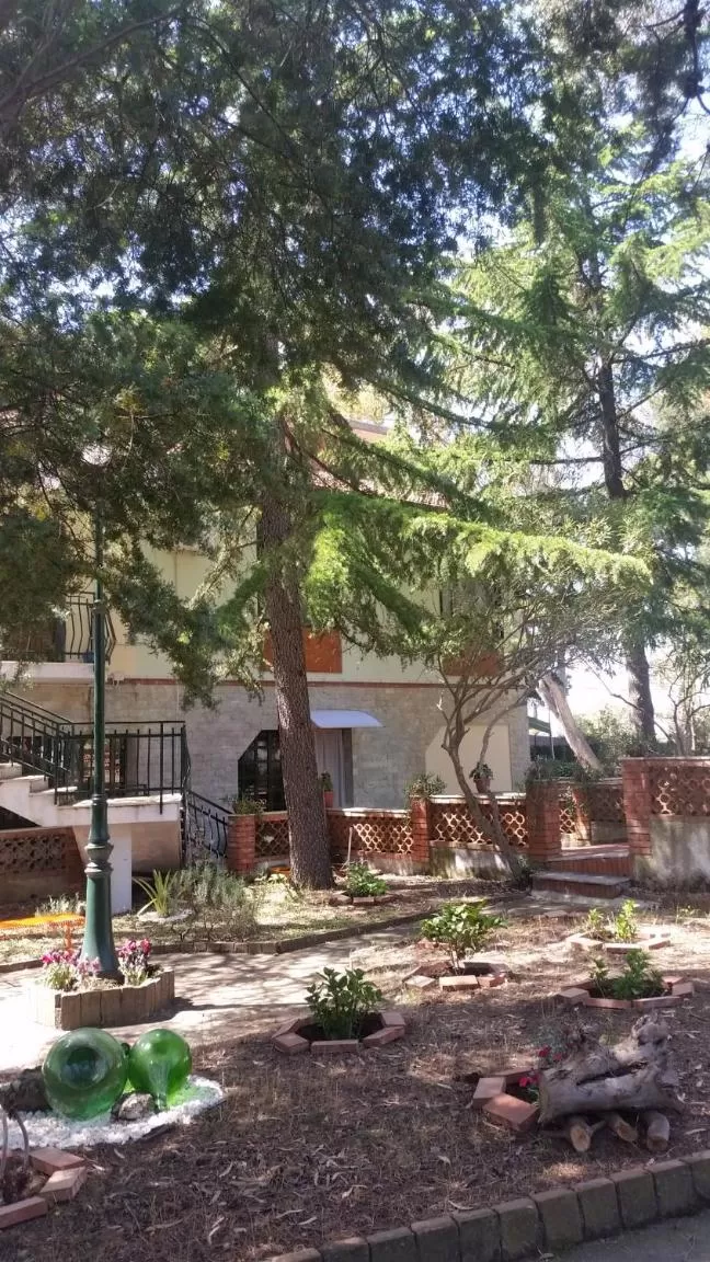 Garden in Villa Morgante B&B