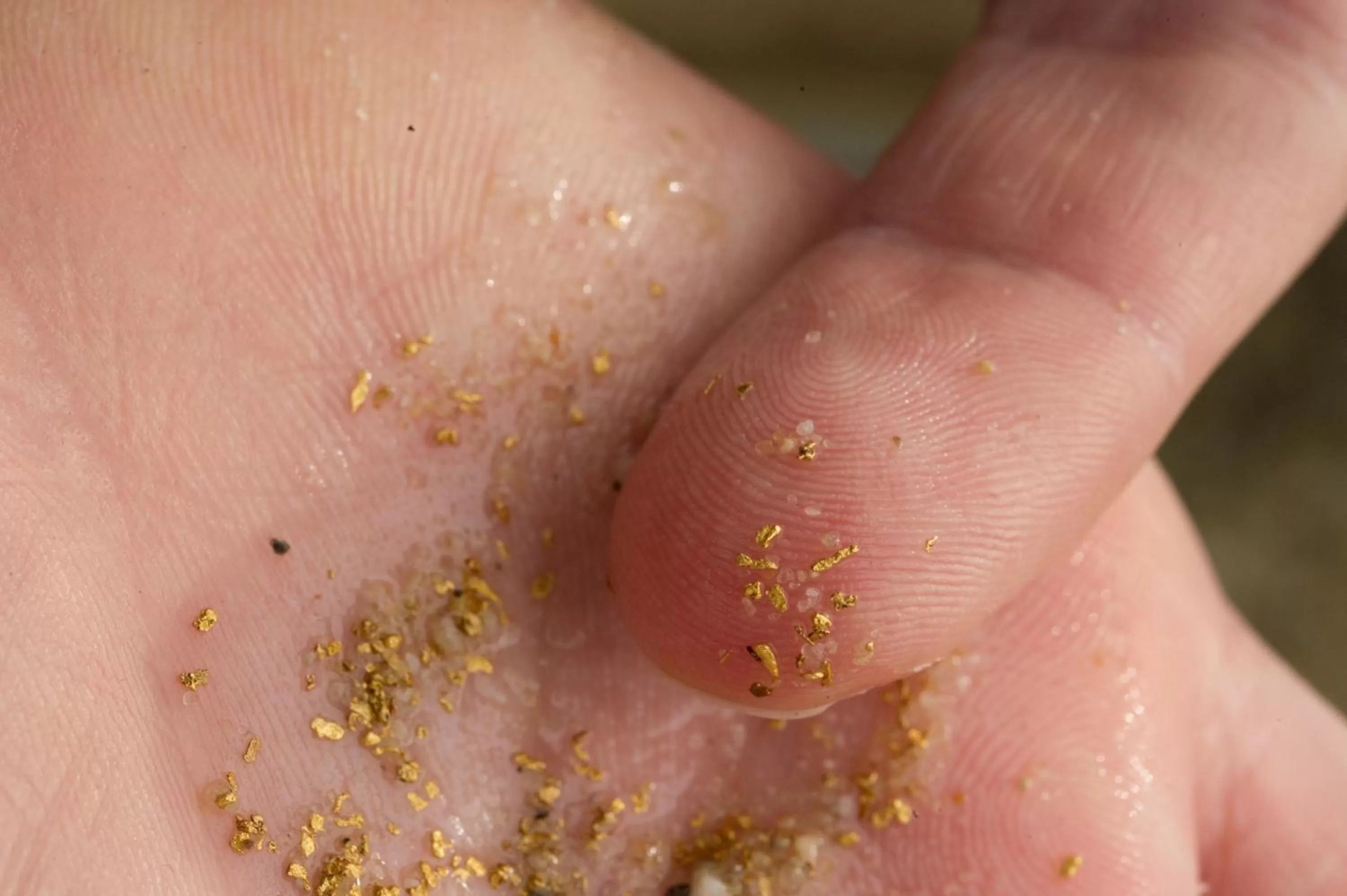 Activities in Hotel Goldflair am Rathaus