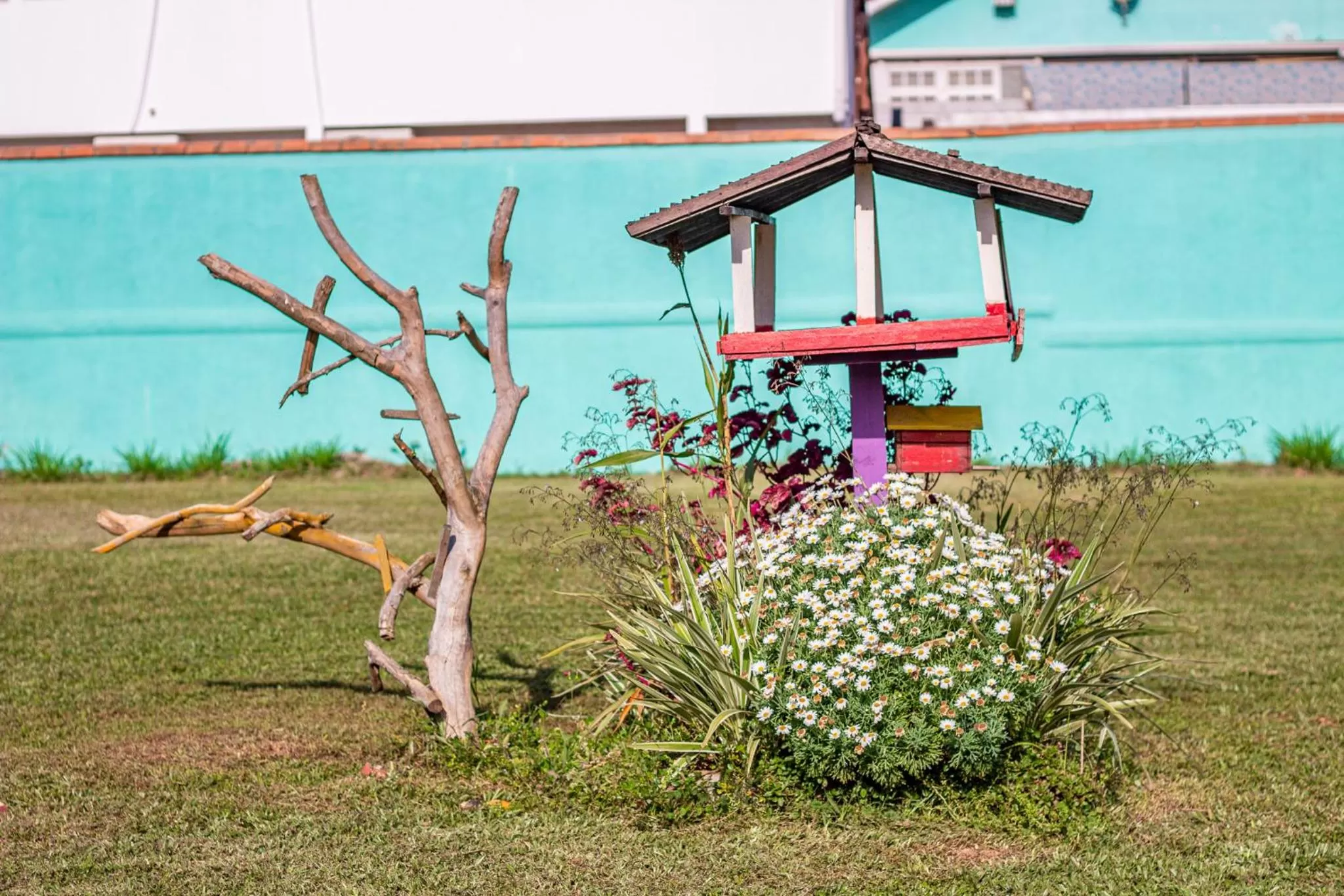 Garden in Pousada OceAnas Frente Mar Estaleiro