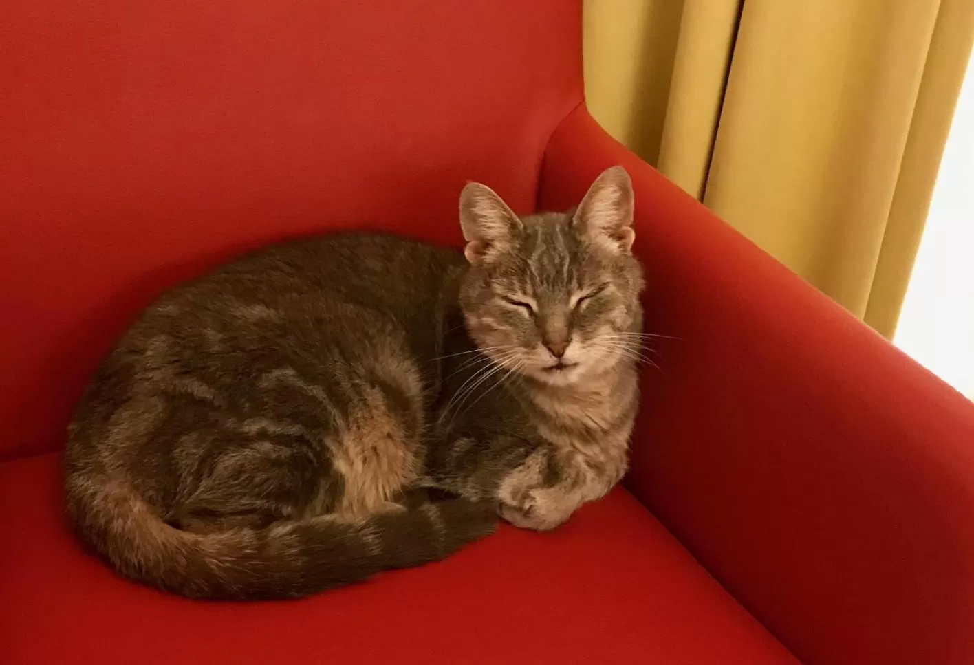 Other in Hotel Jardin Bern