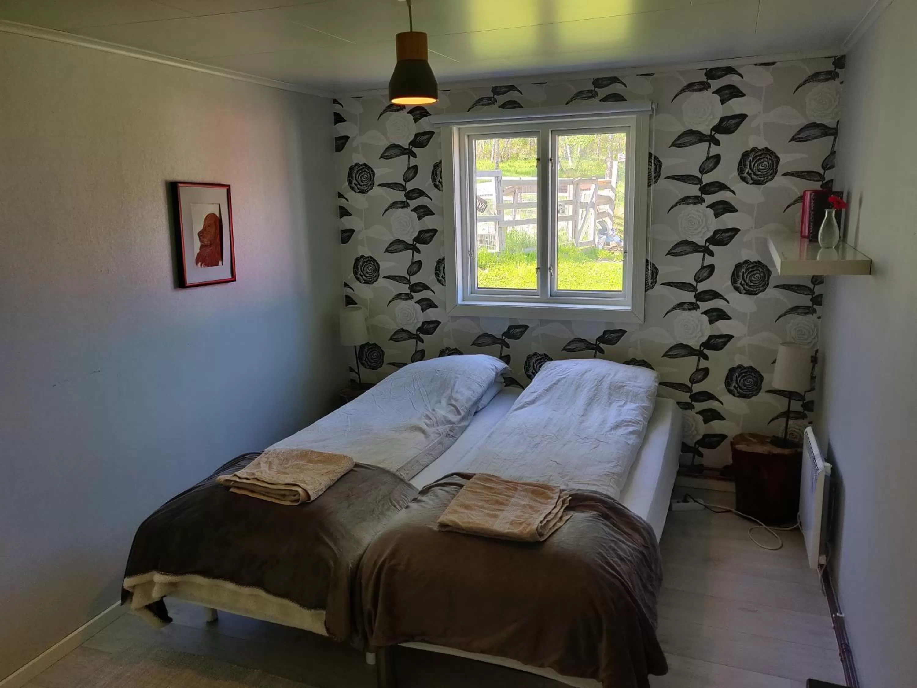 Bedroom in Husky Lodge Hostel
