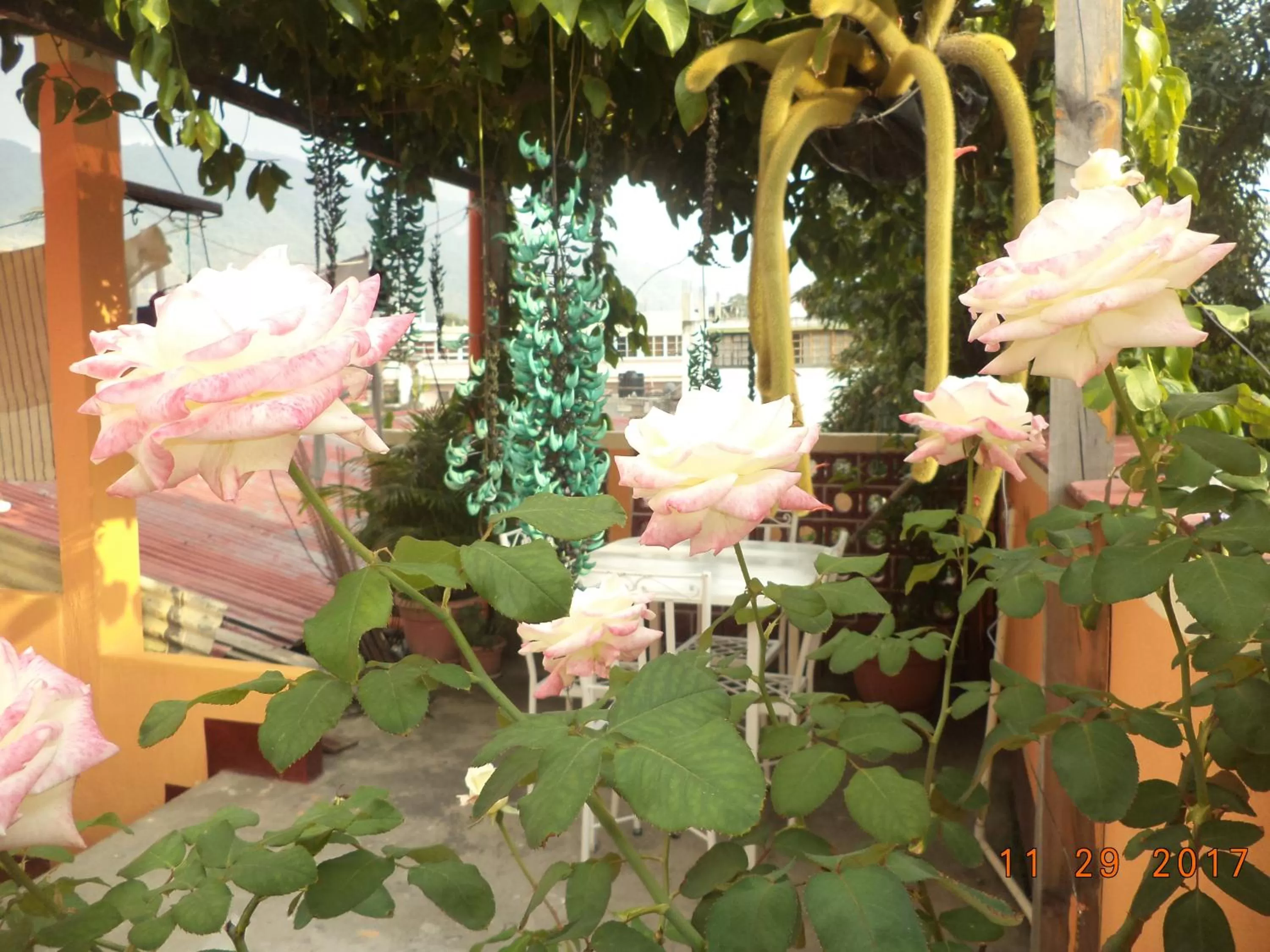 Balcony/Terrace in Hospedaje El Viajero