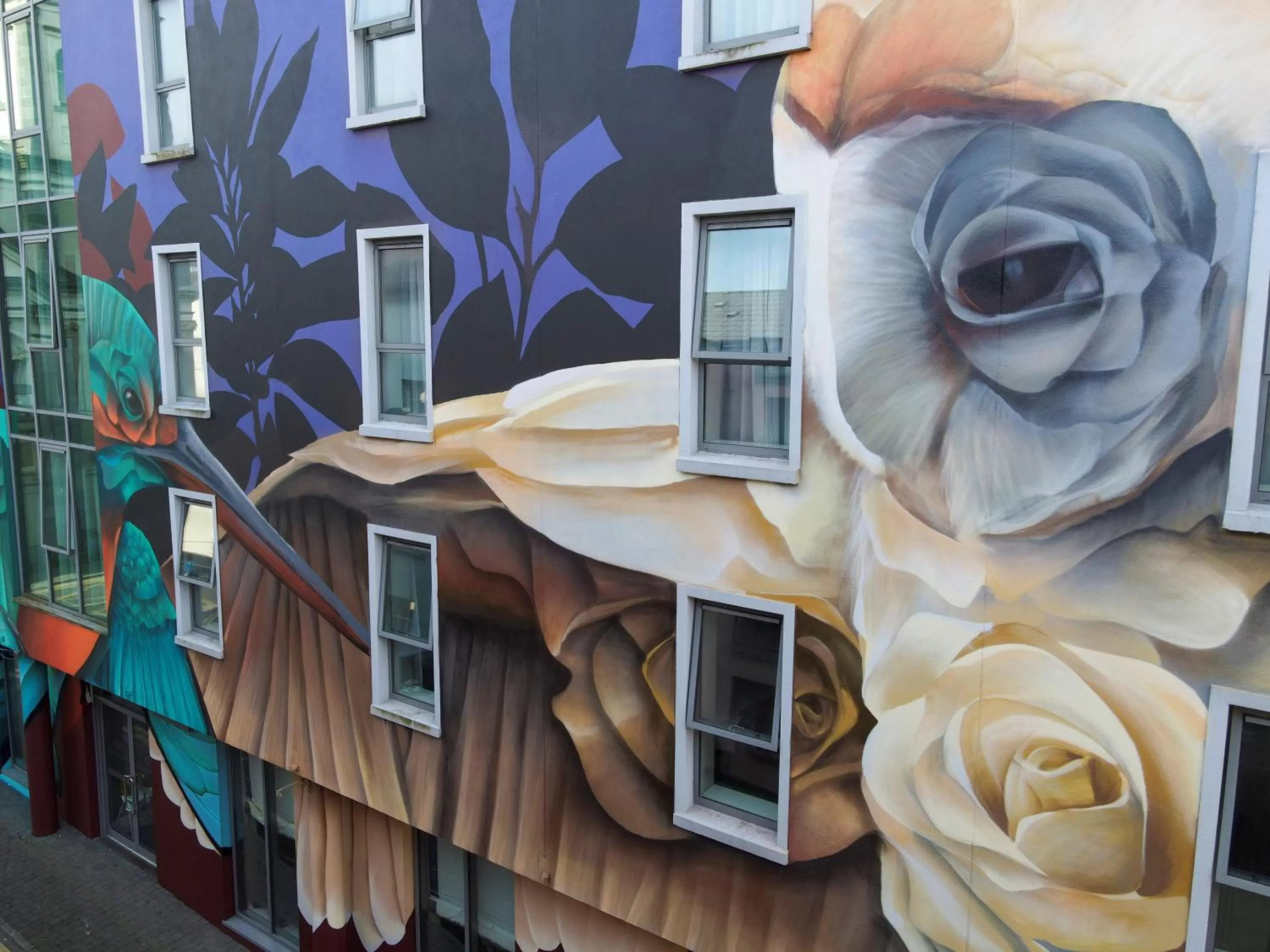 Property building in The Fitzwilton Hotel