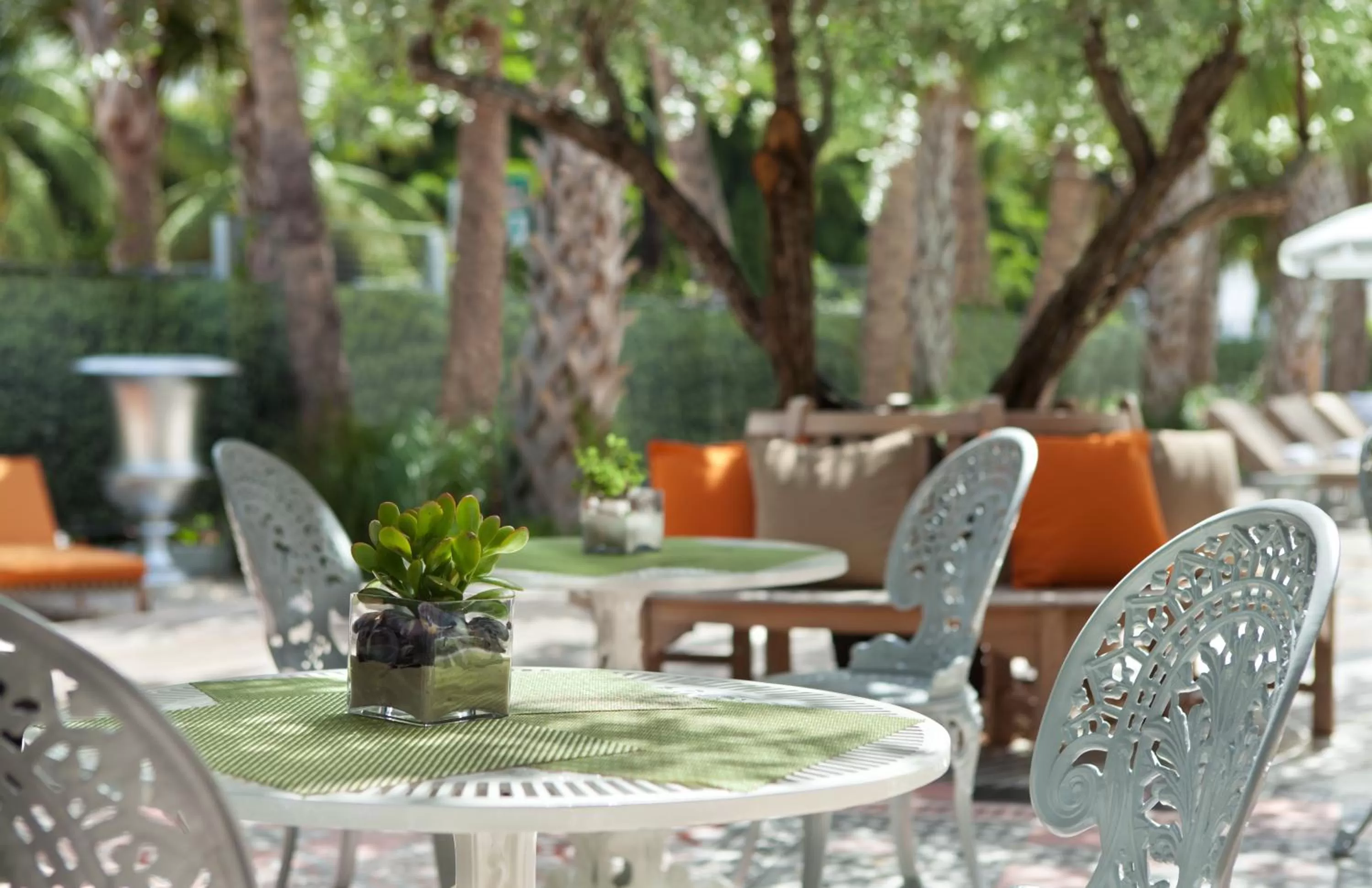 Restaurant/places to eat in SLS South Beach