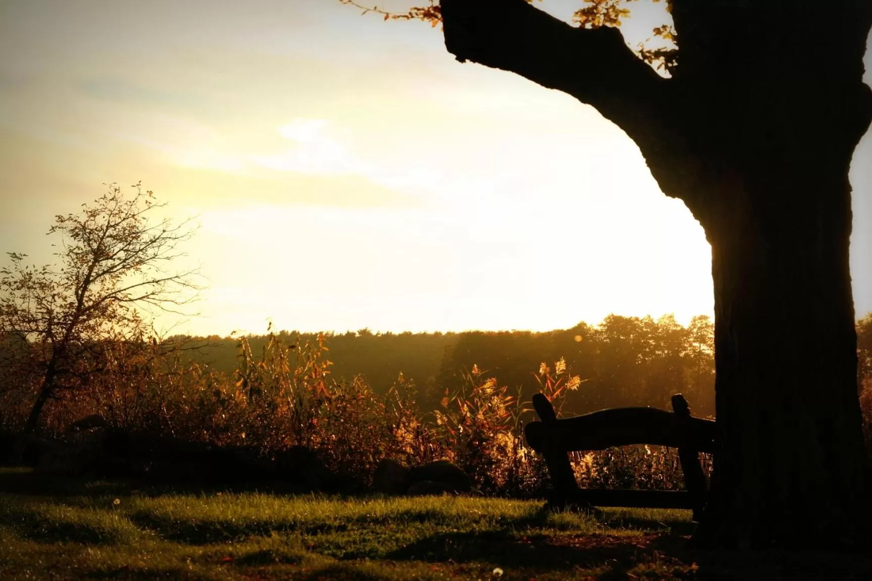 Natural landscape in Olandia