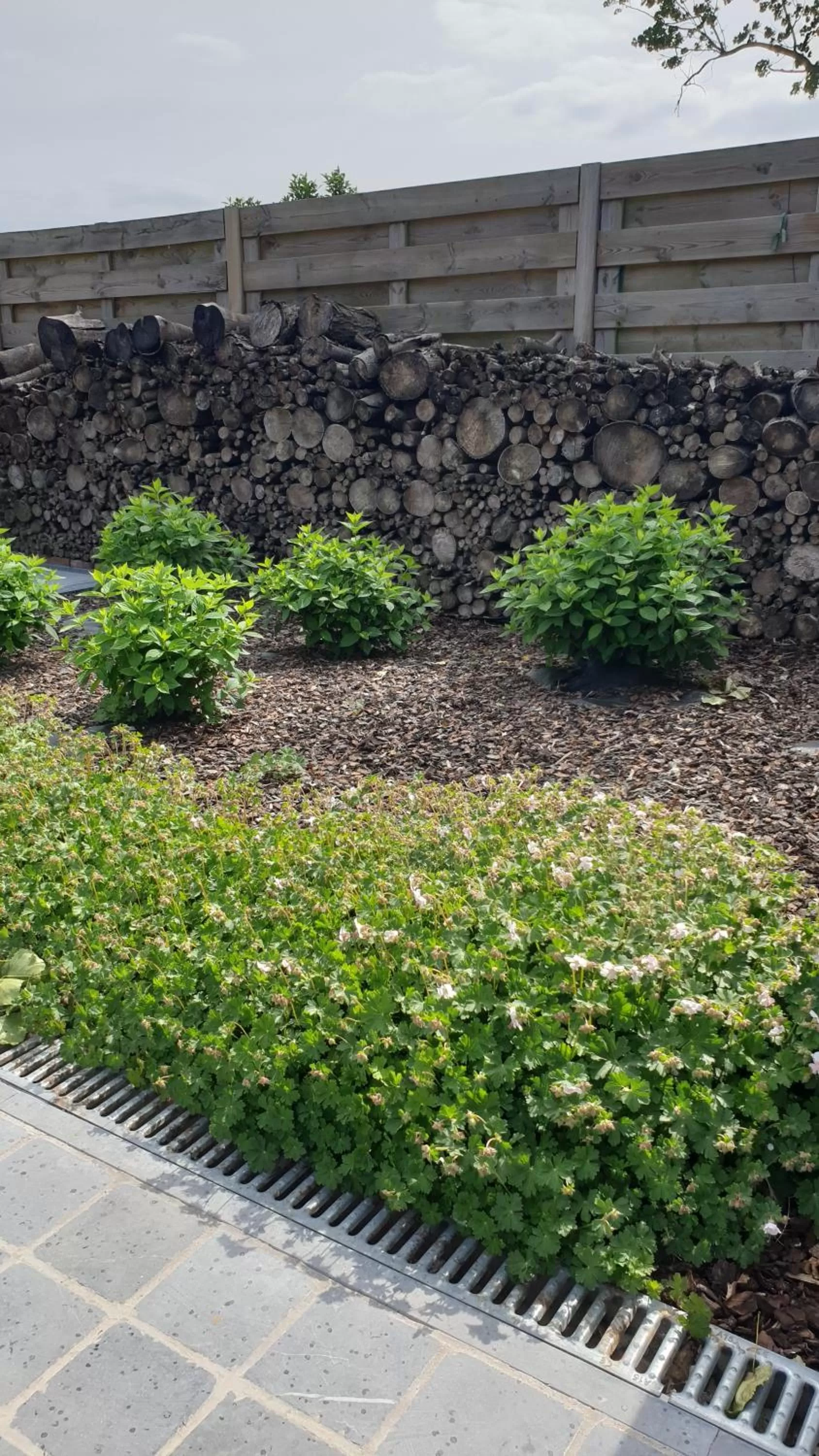 View (from property/room) in B&B 't Meesterhof