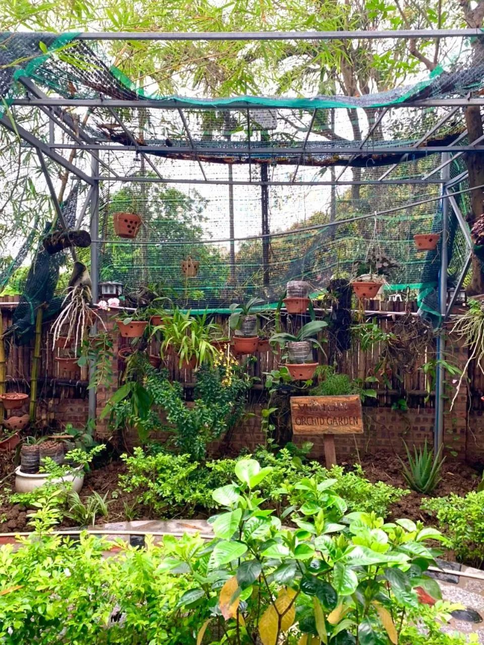 View (from property/room) in Nan House - Tam Coc