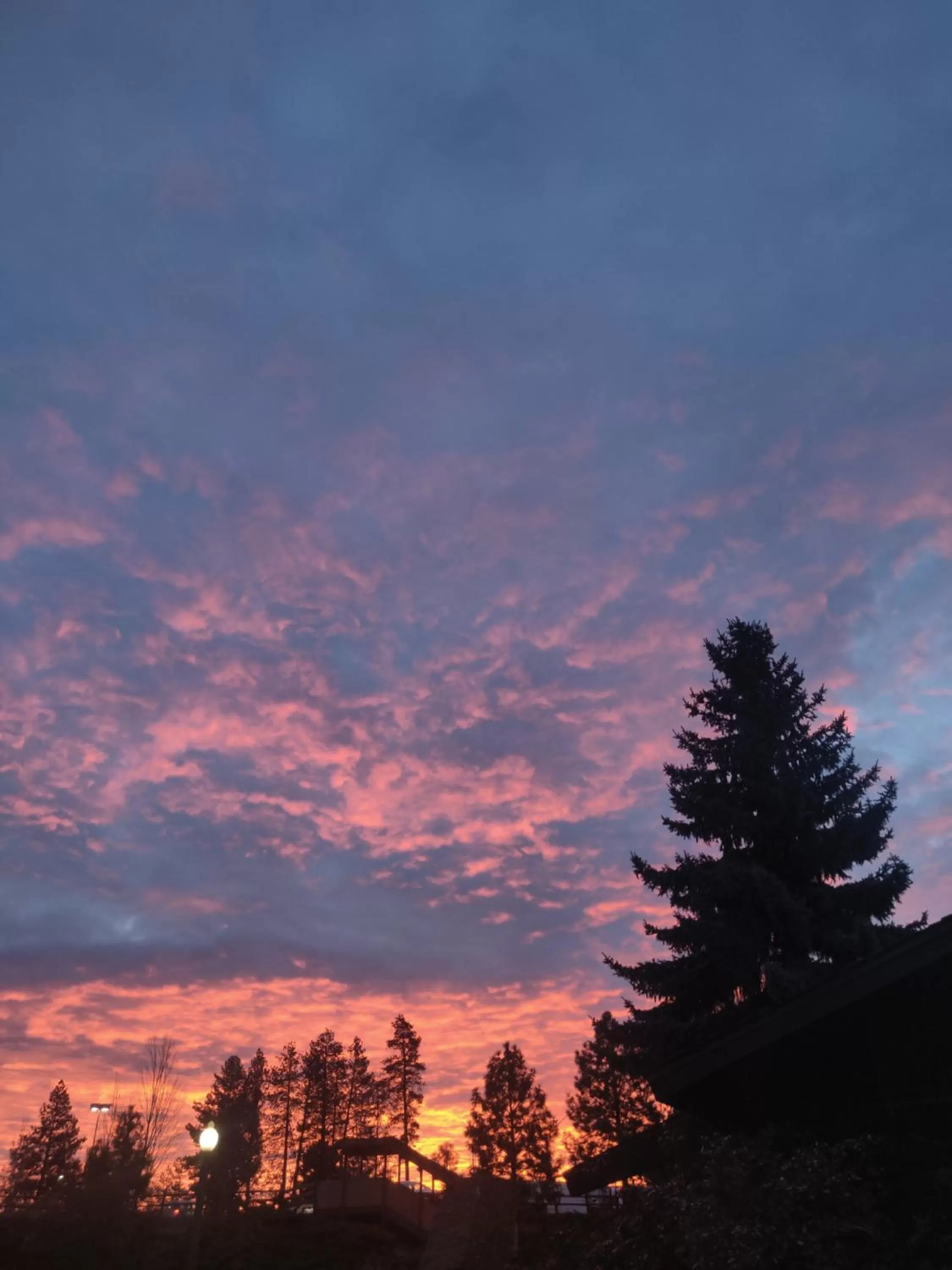 Natural landscape in Riverhouse Lodge