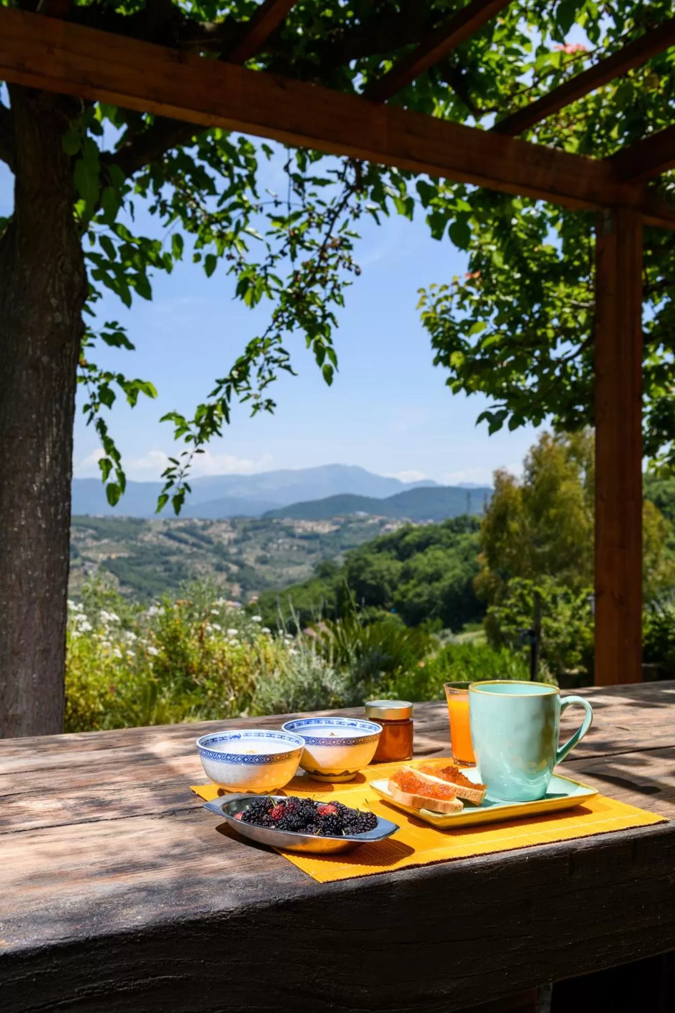 Food and drinks in B&B Albachiara Casa di Campagna