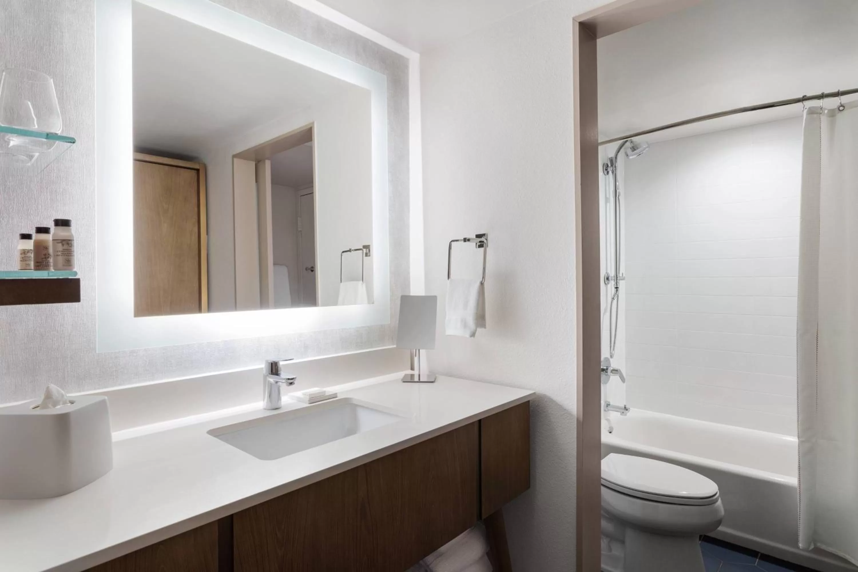 Bathroom in Delta Hotels by Marriott™ Virginia Beach Waterfront Suites