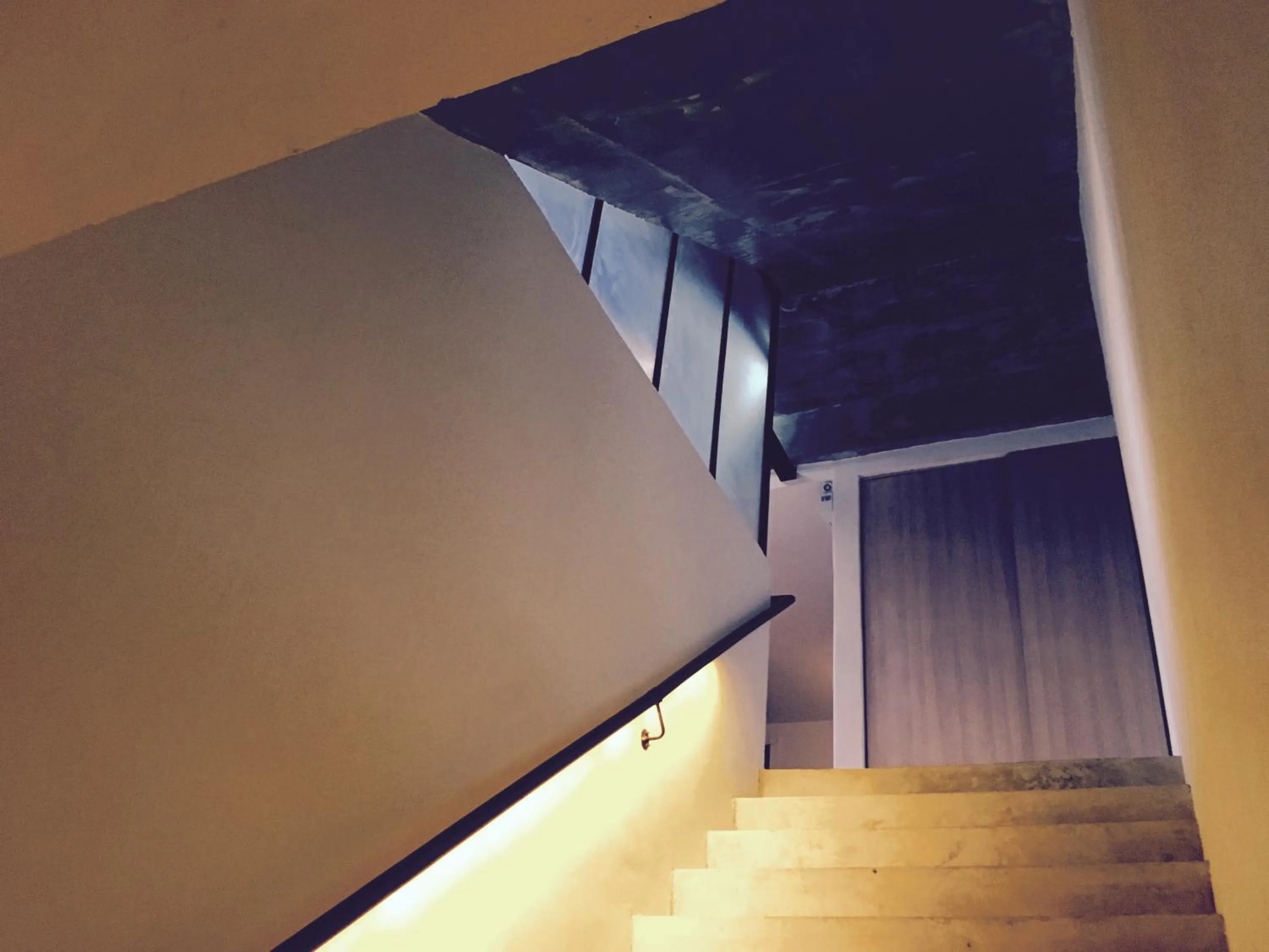 Area and facilities in Hotel Noir