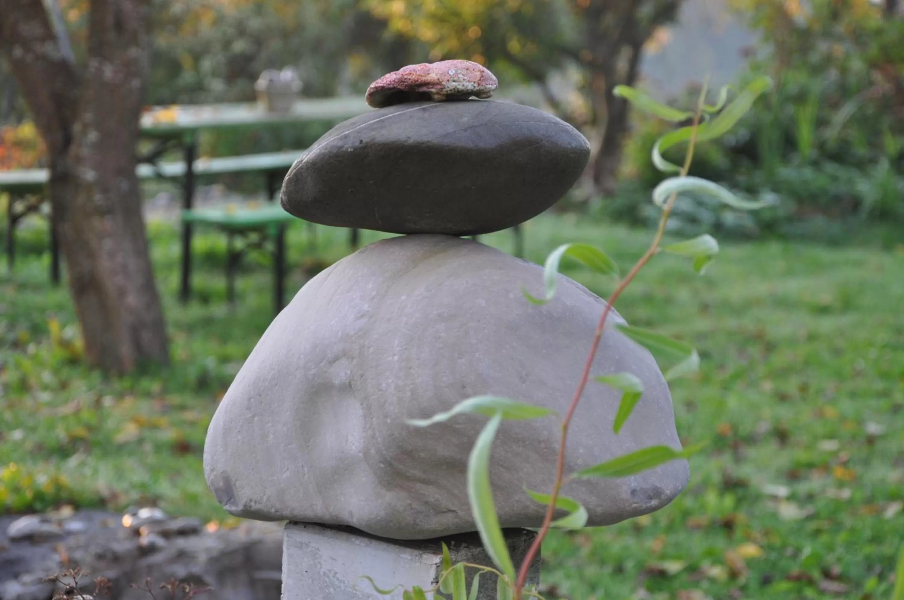 Other, Other Animals in Bed and Breakfast Bavaria München