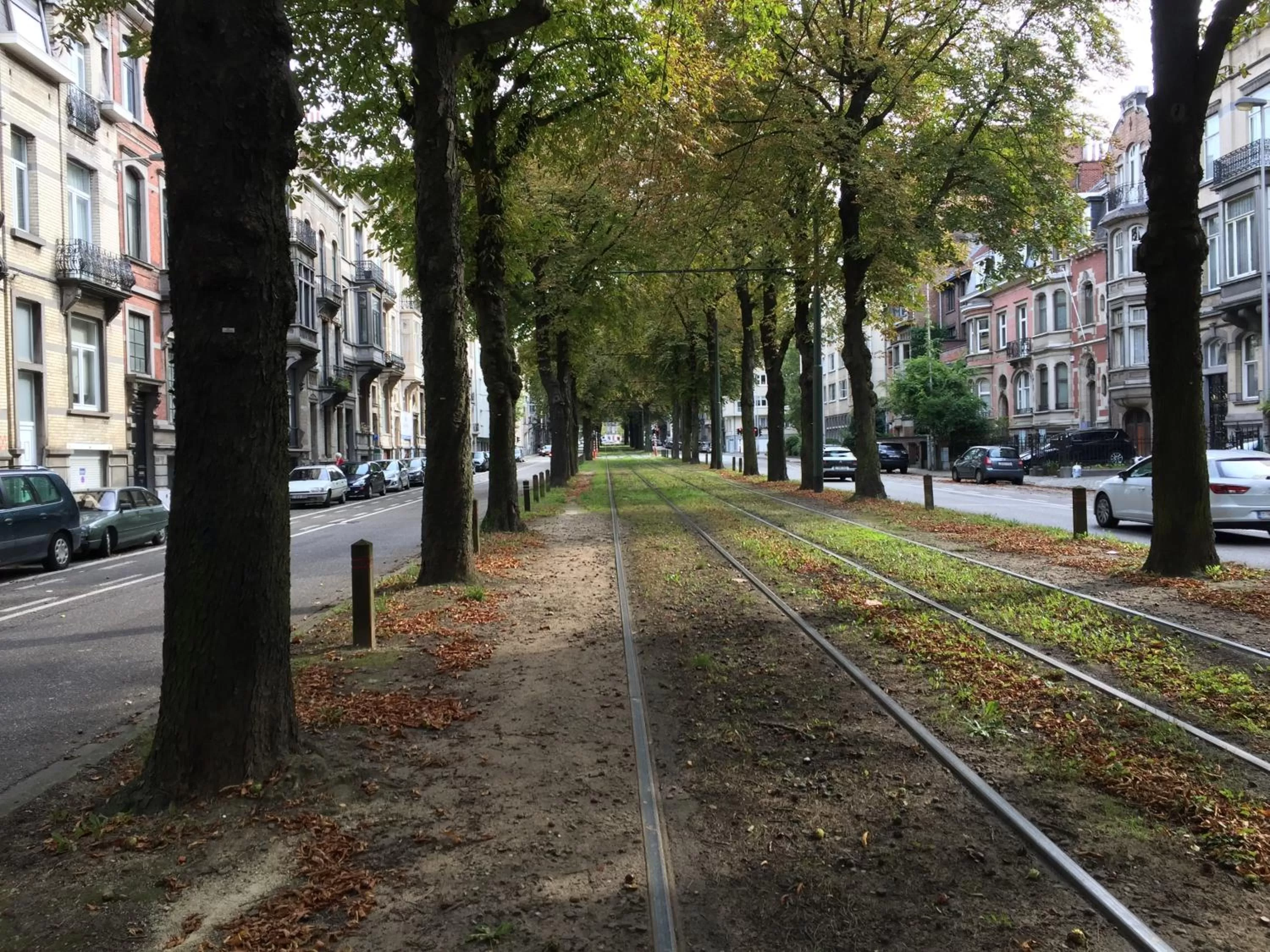 Neighbourhood in Albert Molière