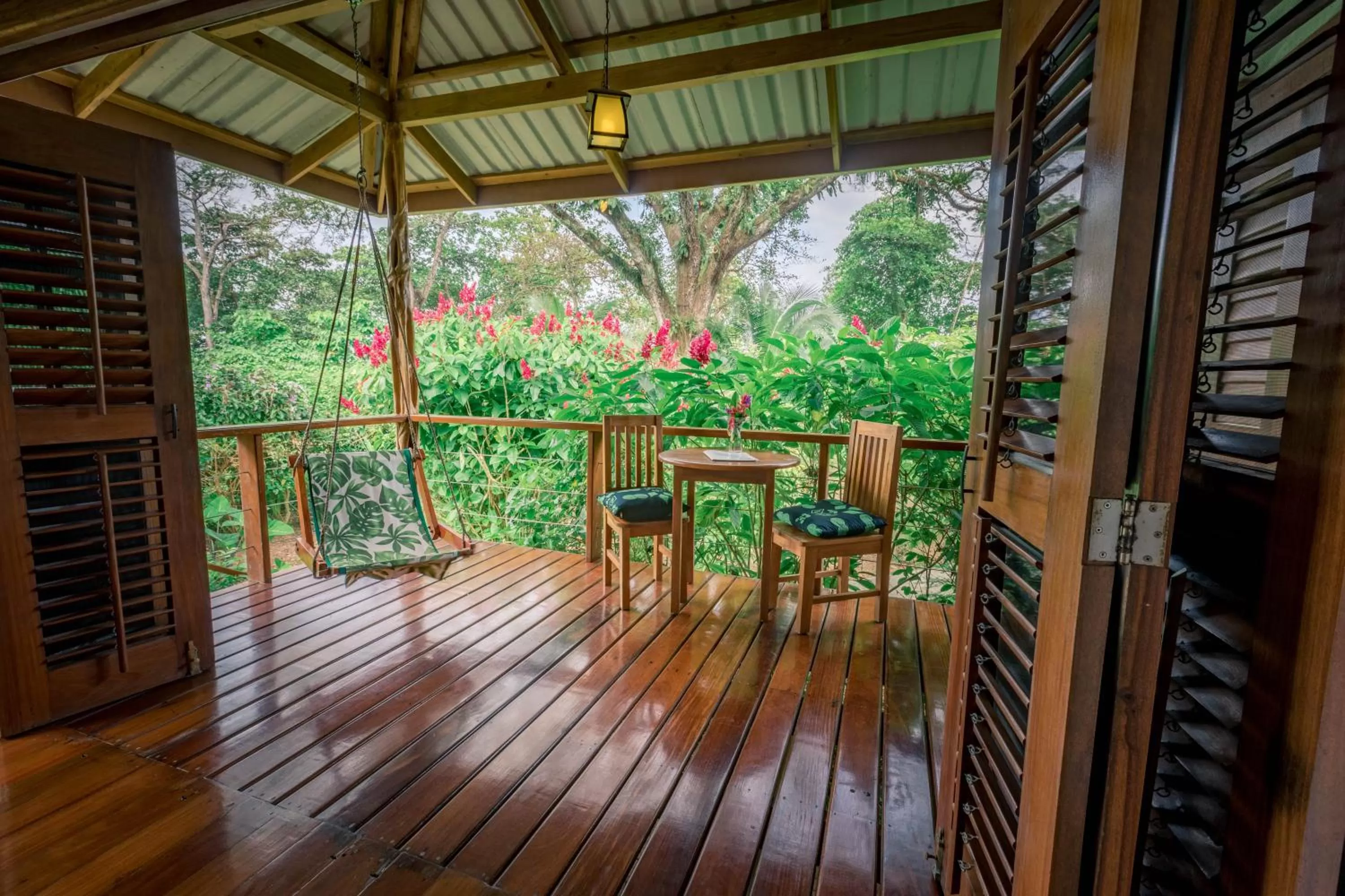 View (from property/room) in The Hummingbird