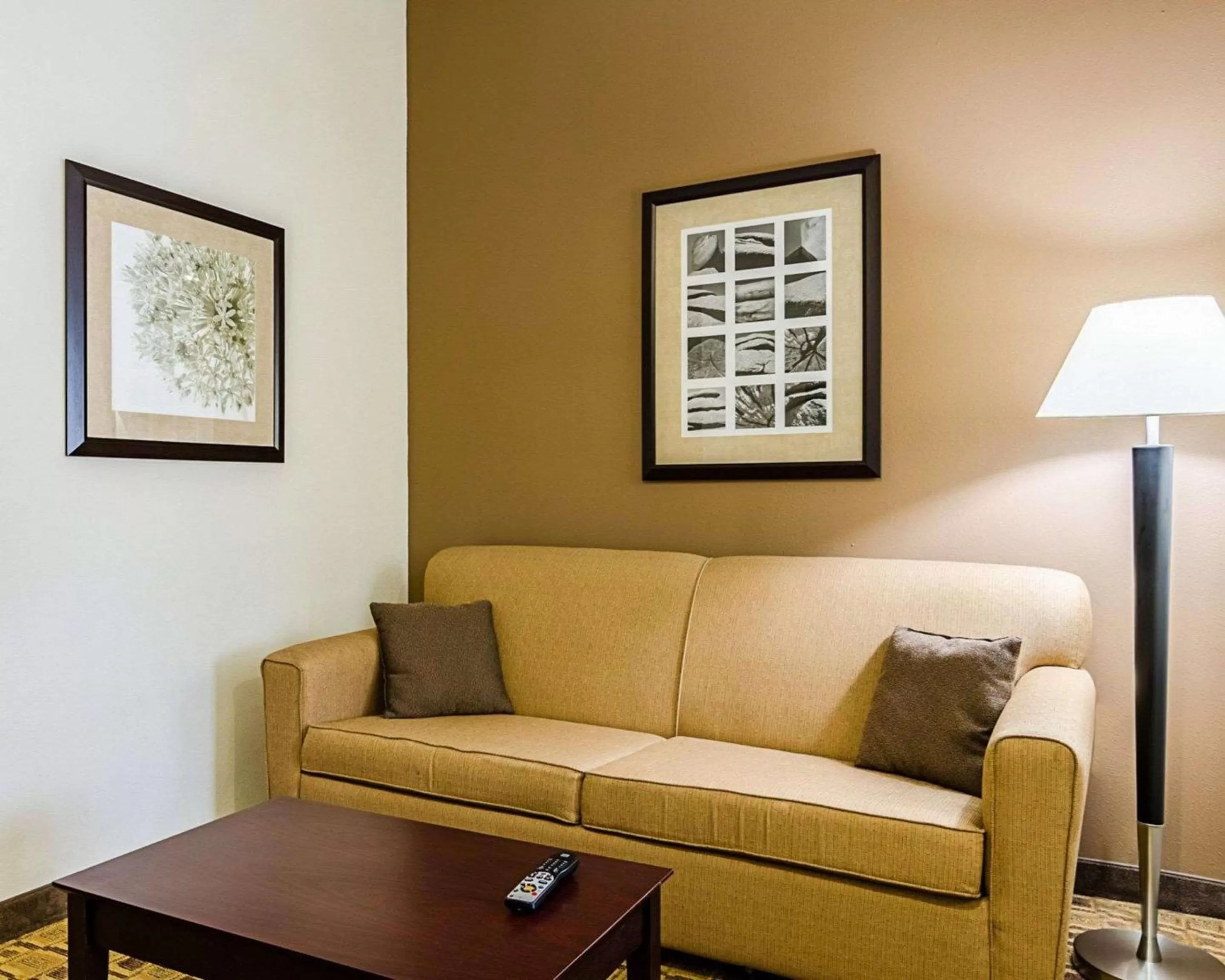 Photo of the whole room in Comfort Inn & Suites Lawrence - University Area