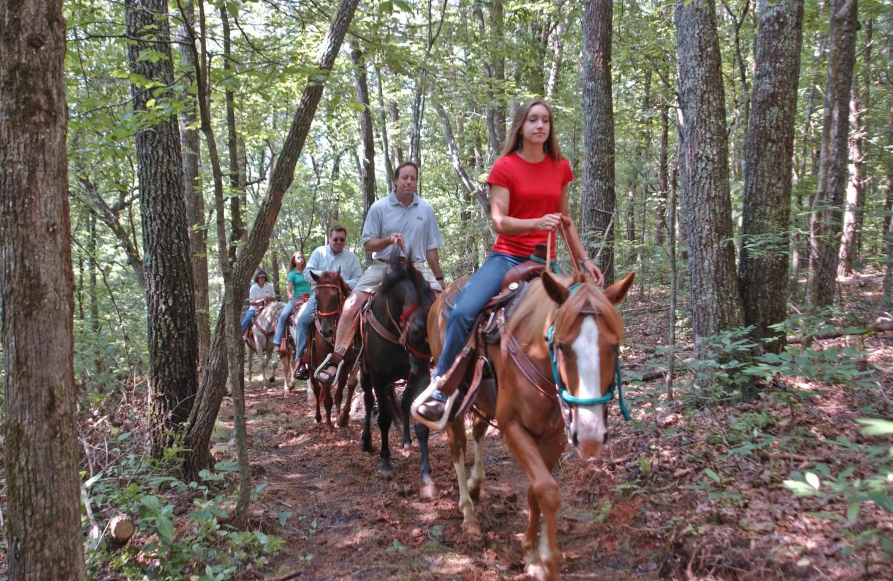 Horse-riding in Brasstown Valley Resort & Spa