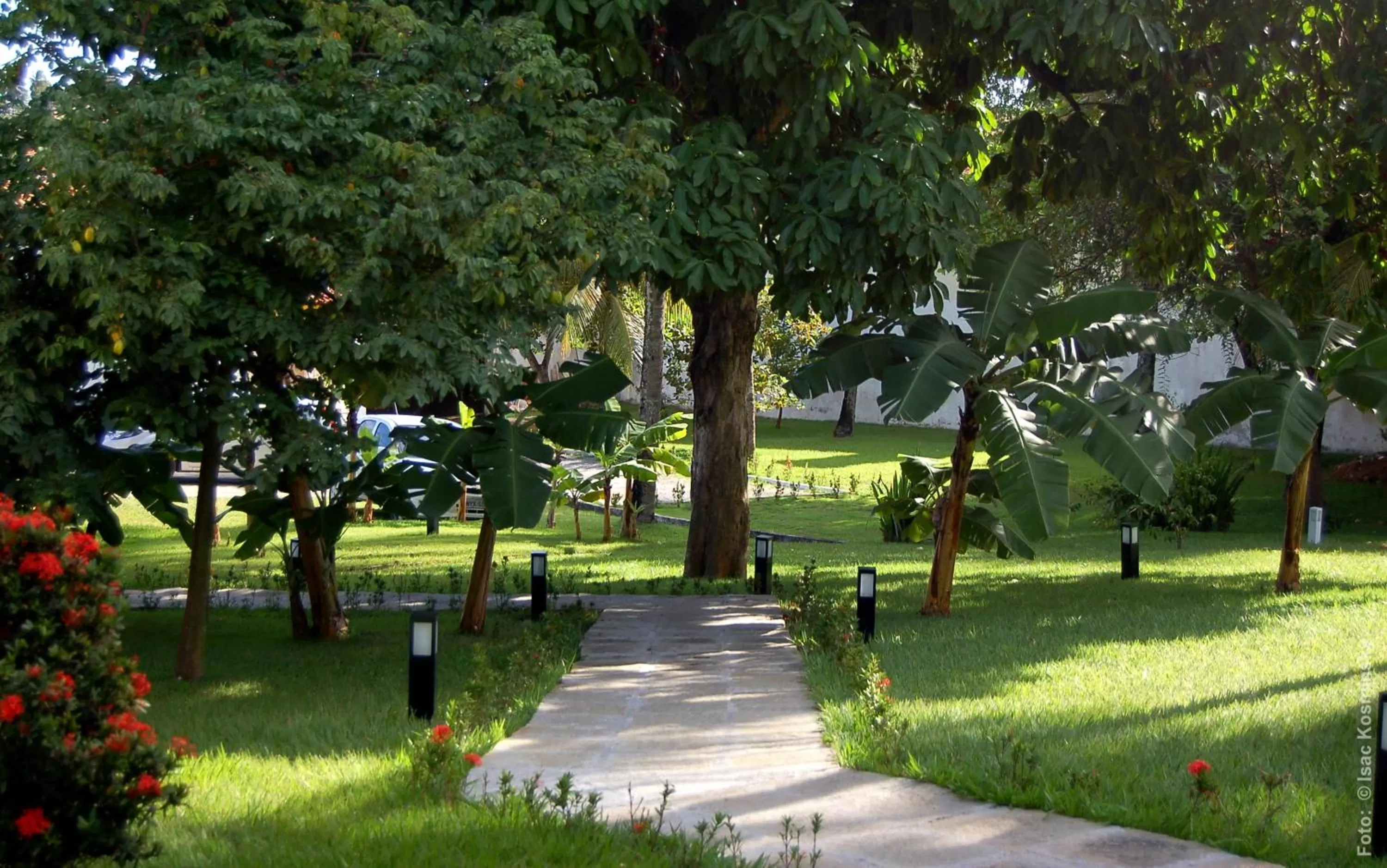 Day, Garden in Hotel Pousada Salvador Paradise