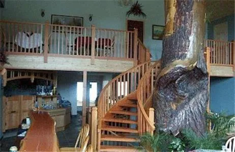 Restaurant/places to eat in Glenogle Mountain Lodge and Spa