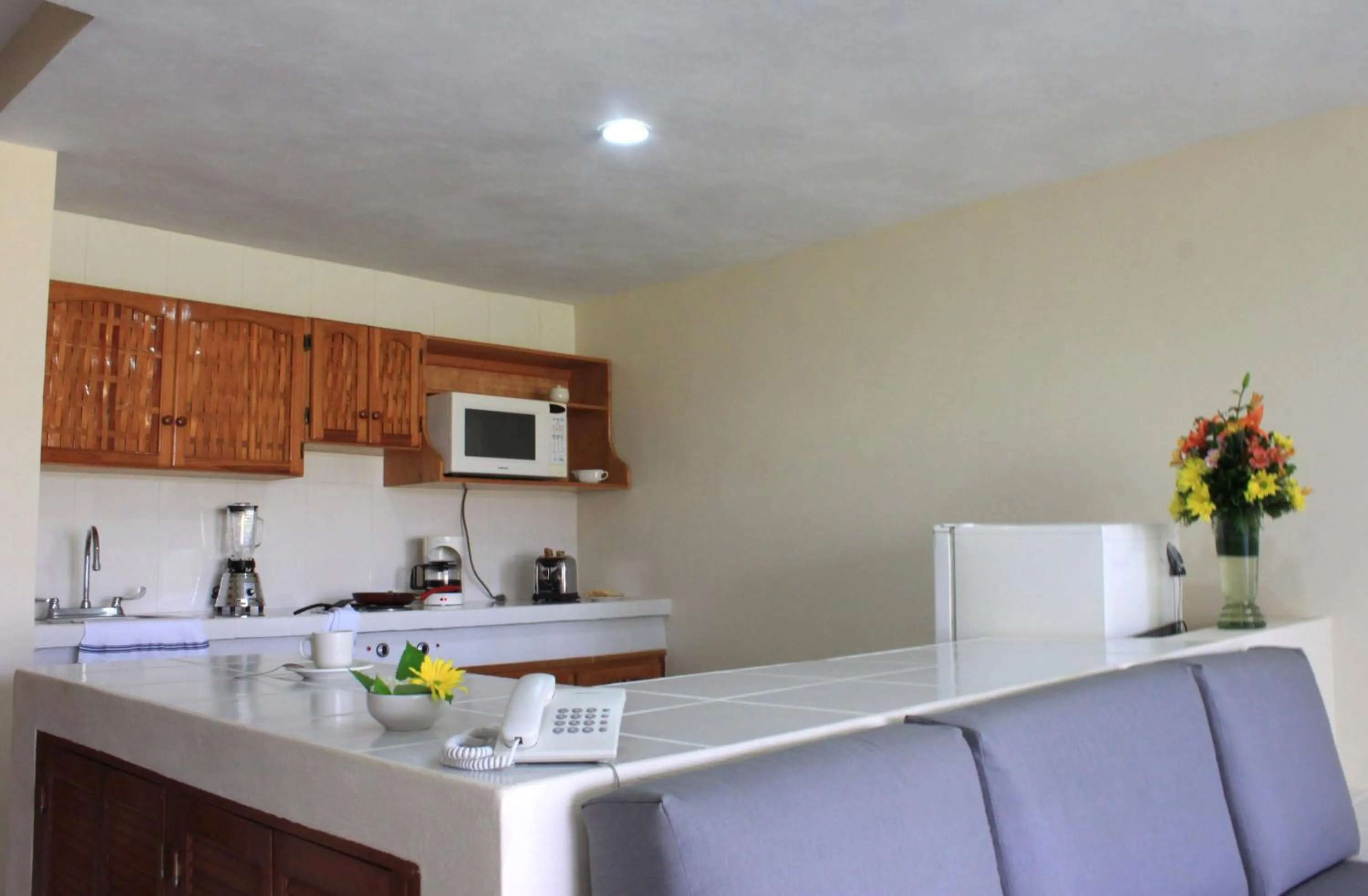 Kitchen or kitchenette in Coral Ixtapa
