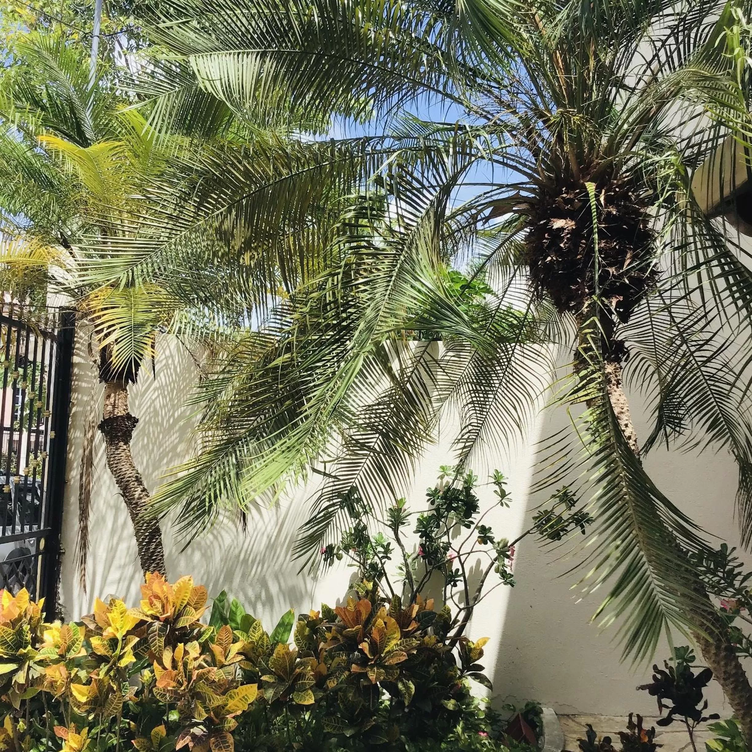 Natural landscape in Bed and Breakfast Pecarí