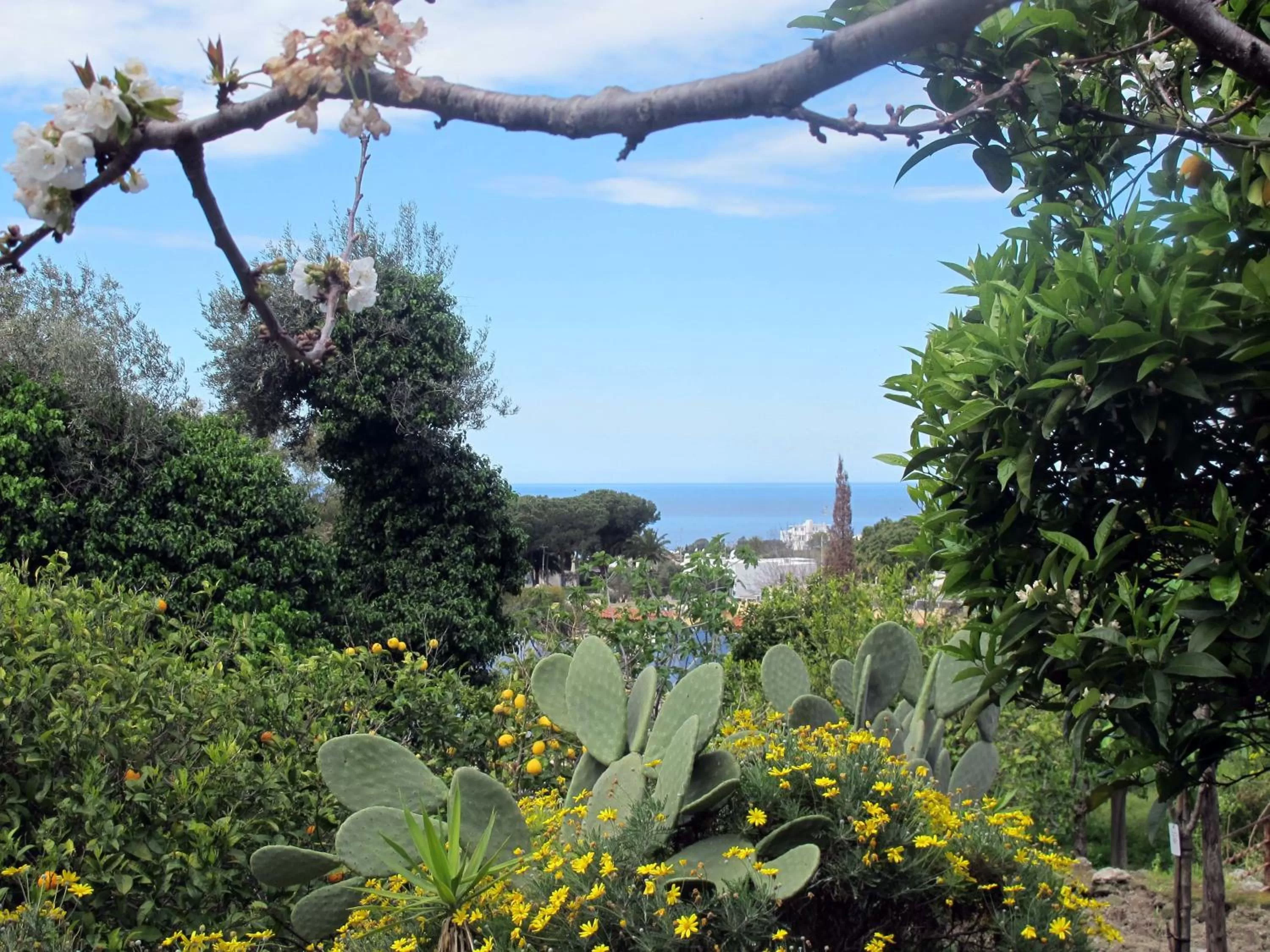 Natural landscape in Aparthotel Villa Marinù